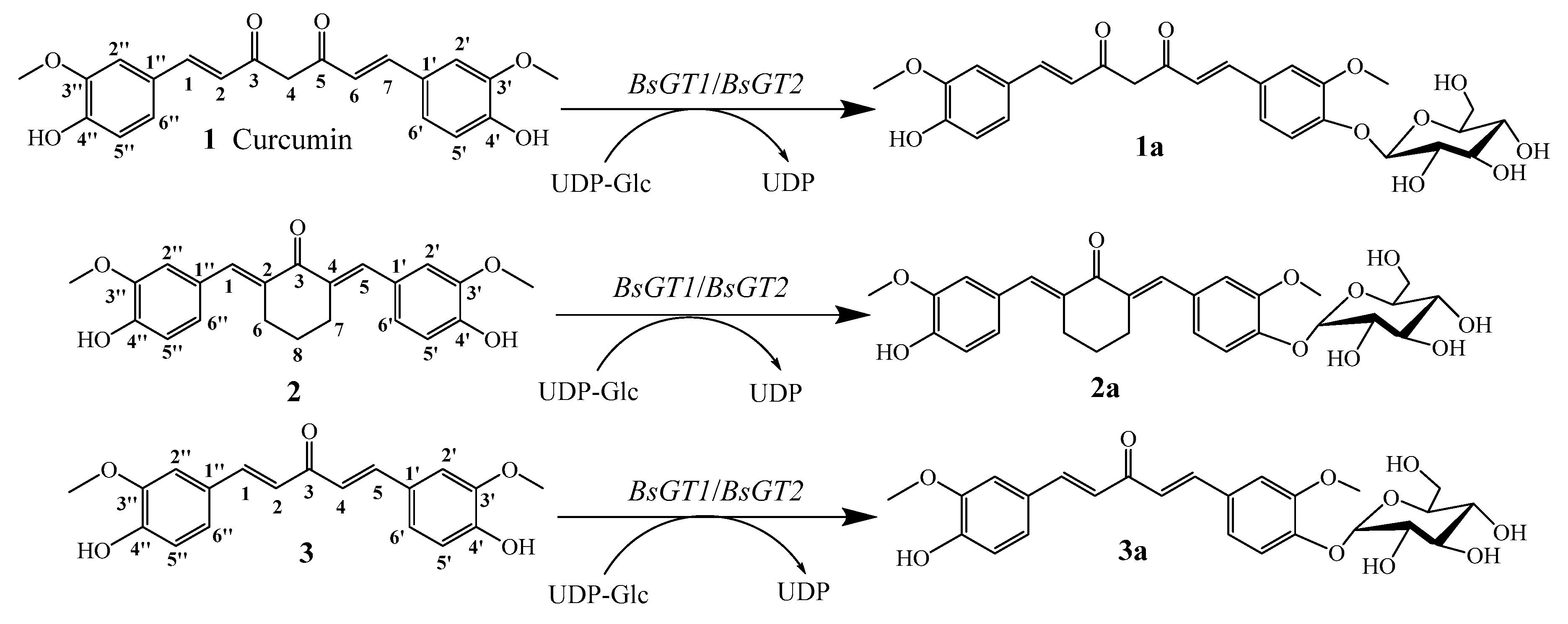 Catalysts 09 00734 sch001