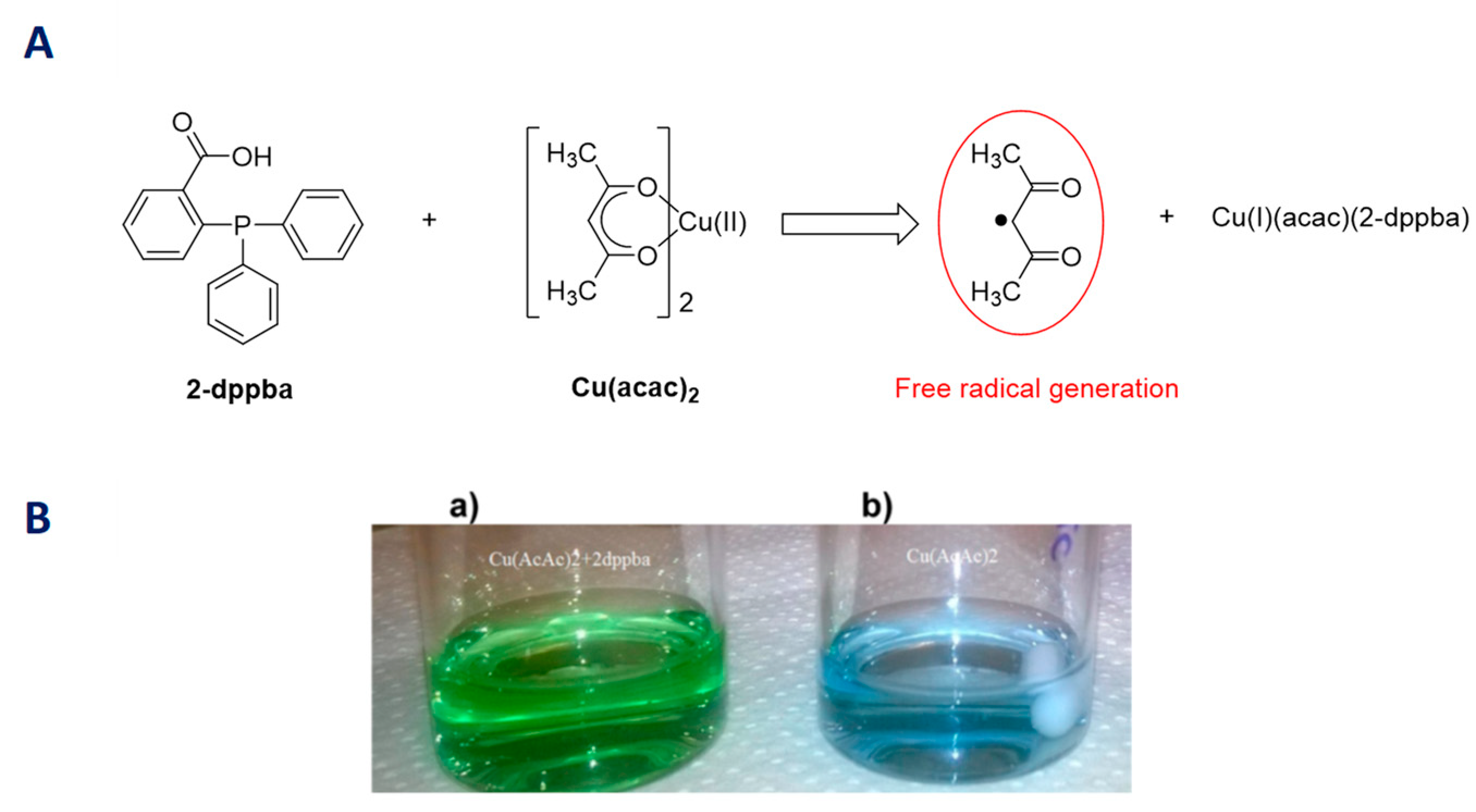 Catalysts 09 00736 g019