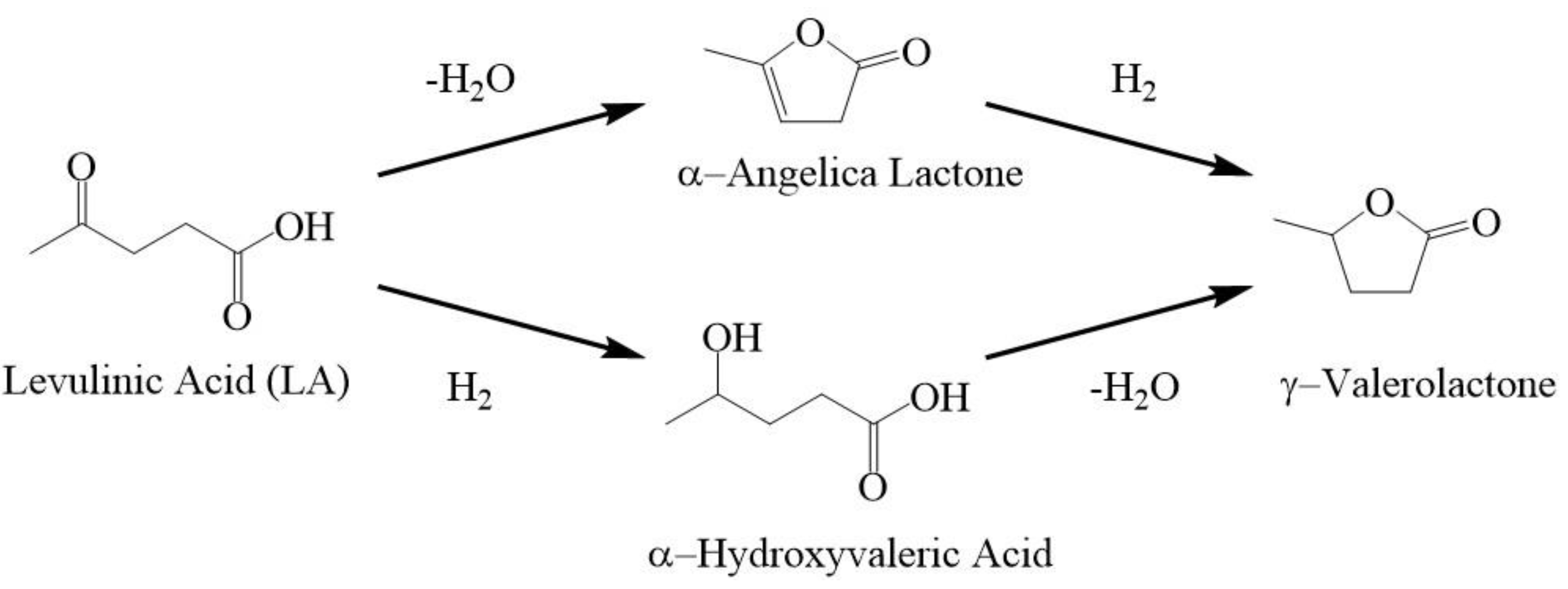 Catalysts 09 00748 g001