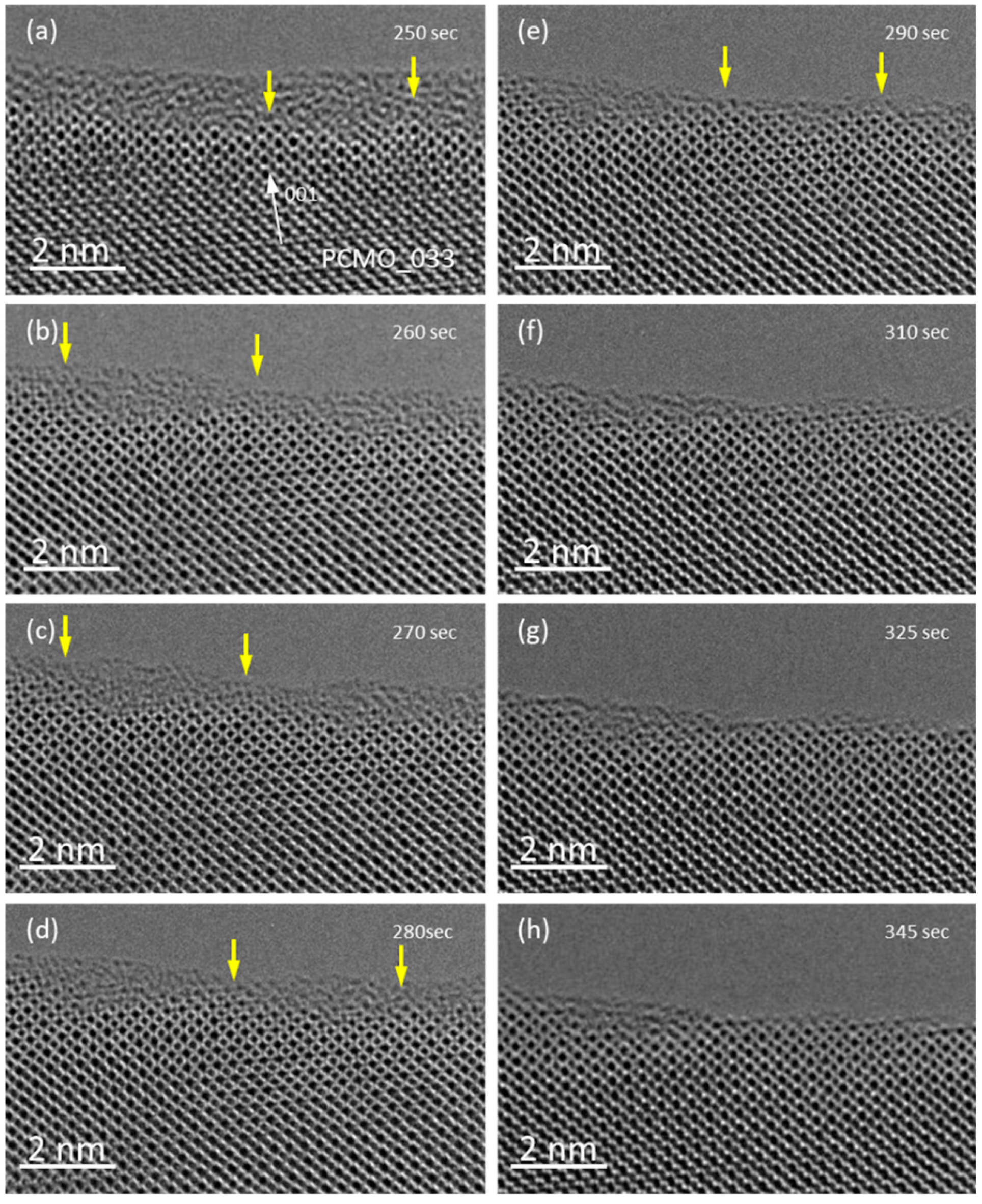 Catalysts 09 00751 g003