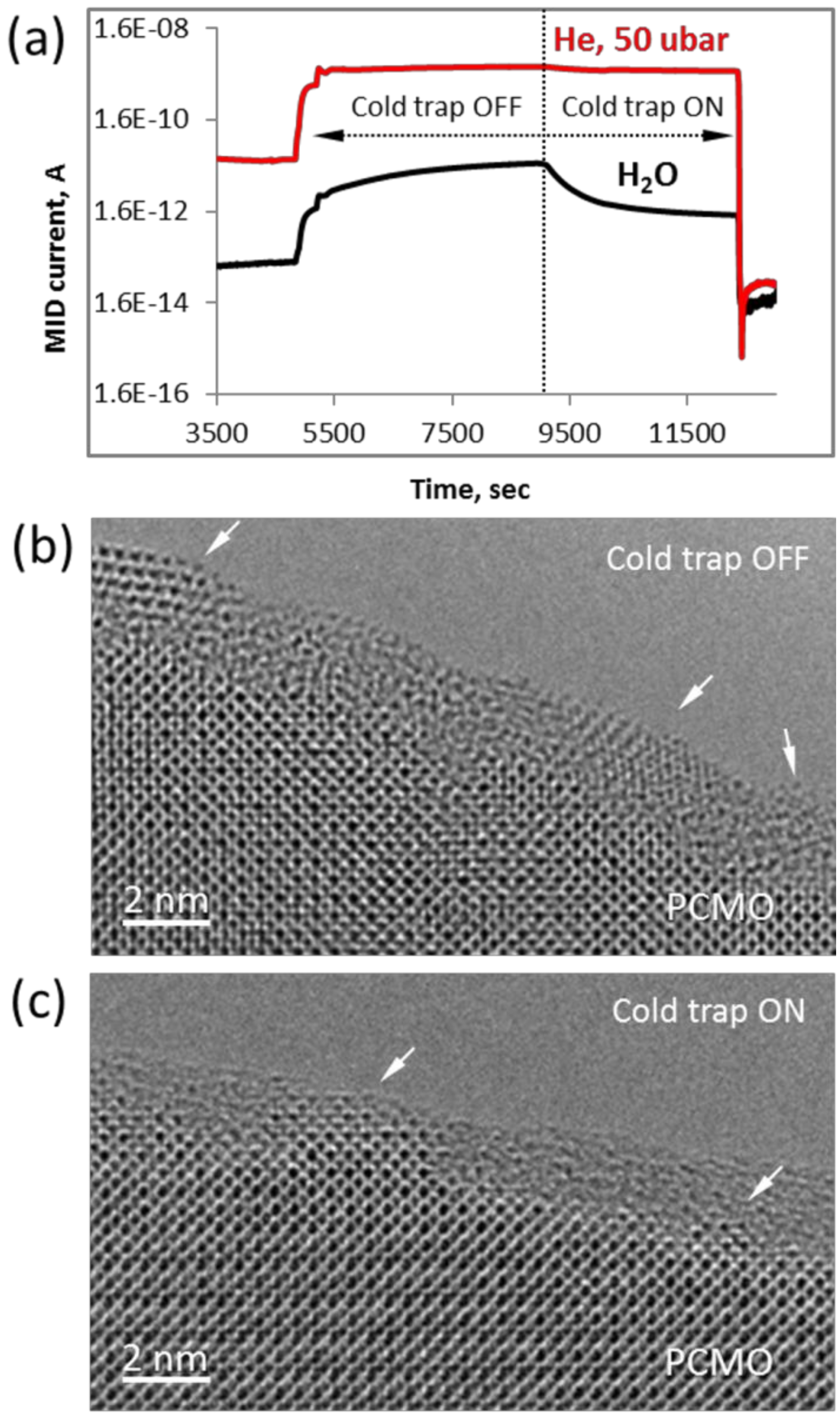 Catalysts 09 00751 g009