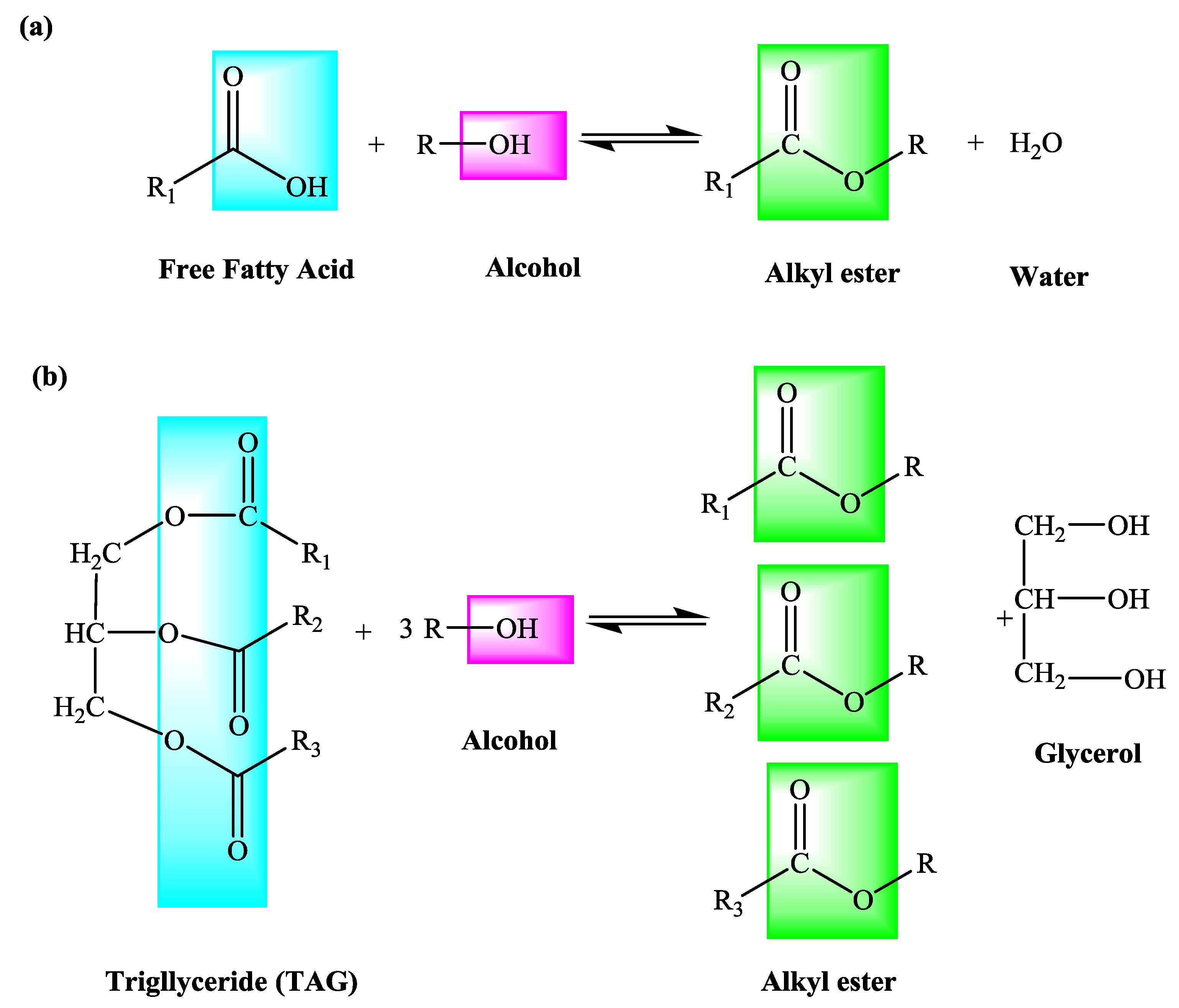 Catalysts 09 00758 g001