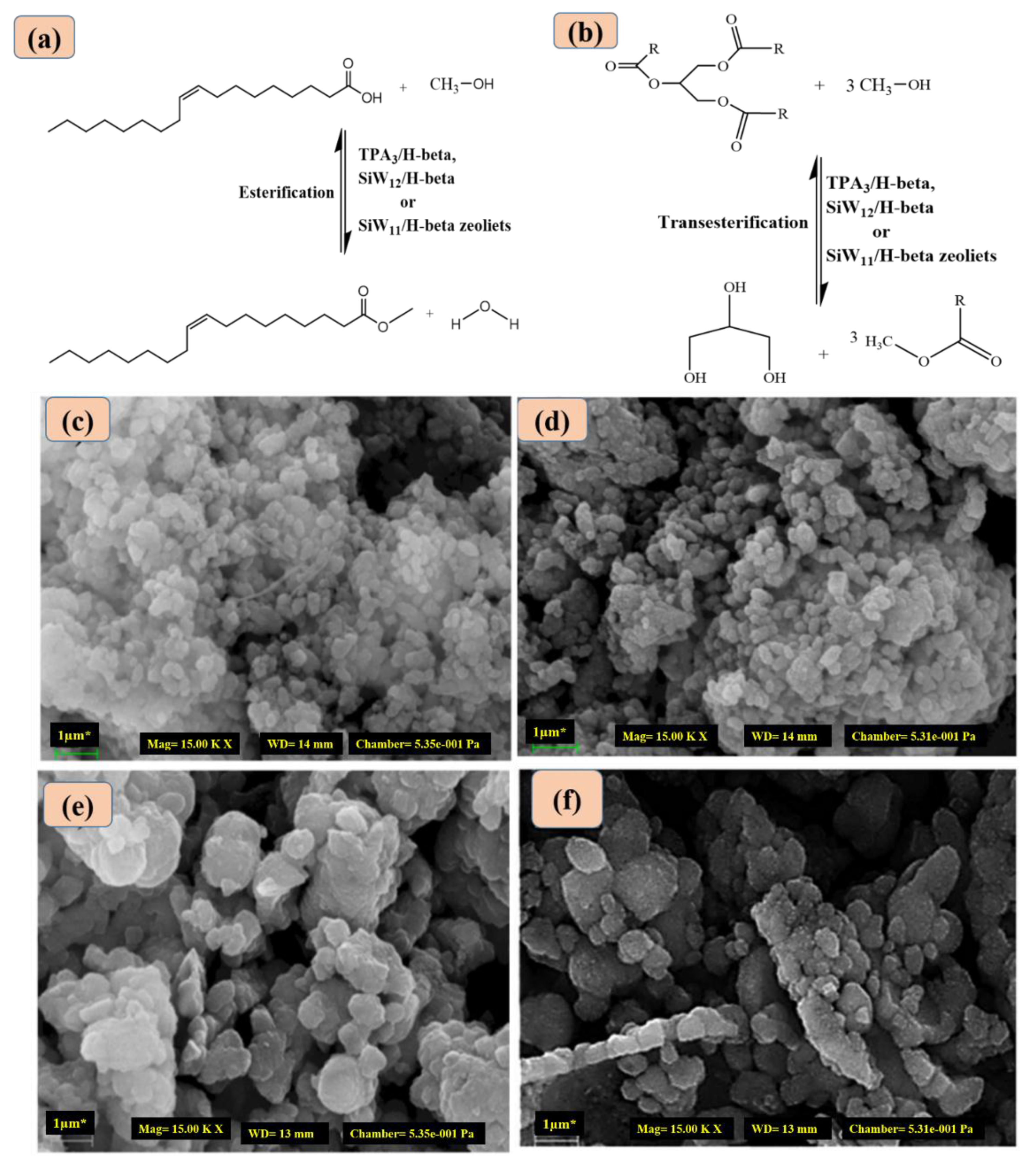 Catalysts 09 00758 g002