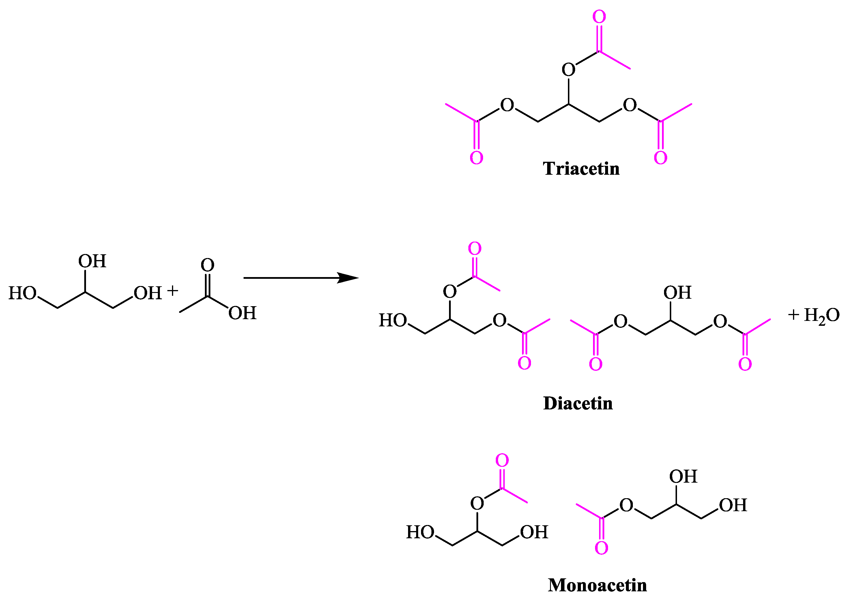 Catalysts 09 00758 g007