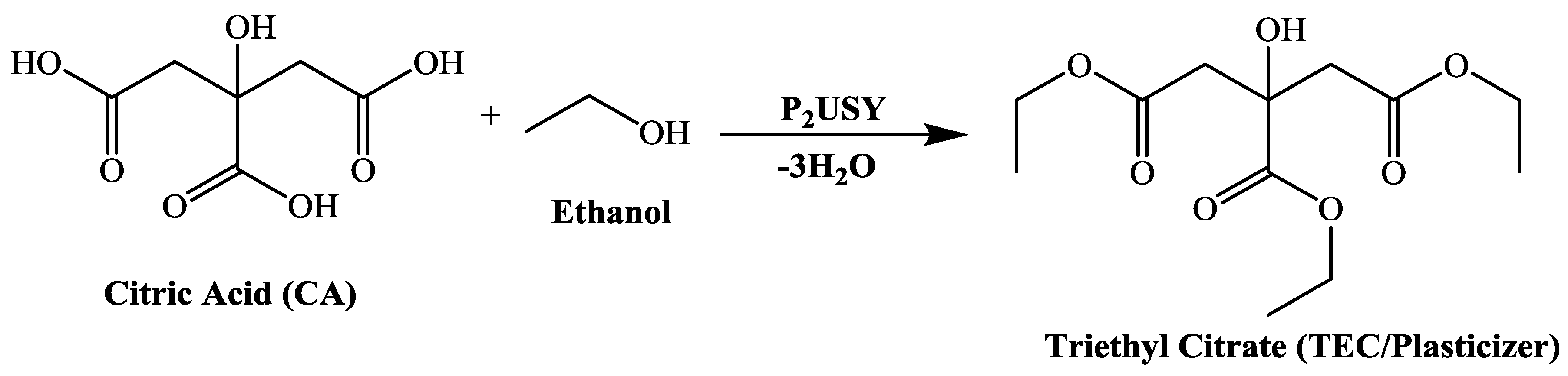 Catalysts 09 00758 g011