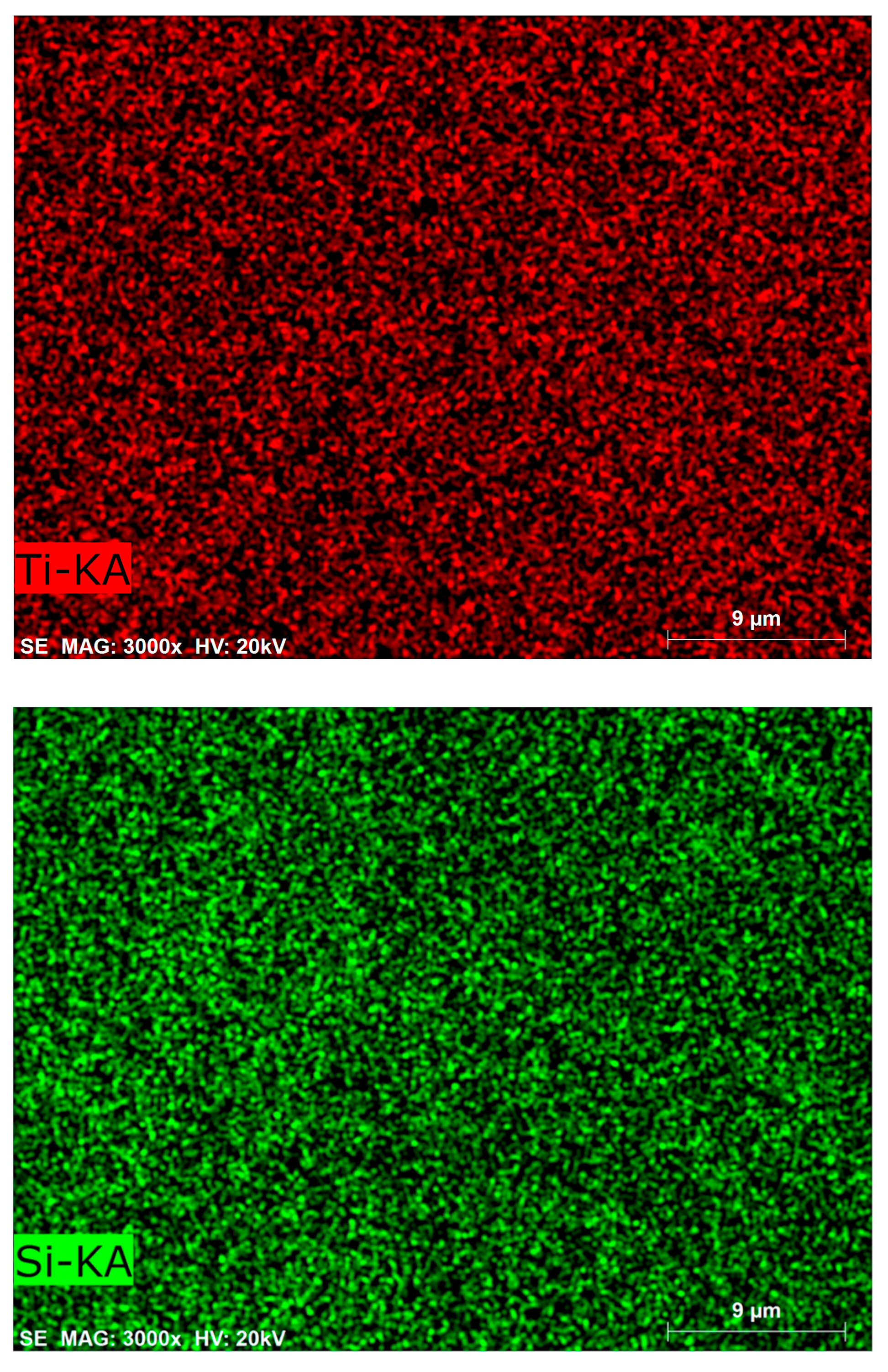 Catalysts 09 00769 g007