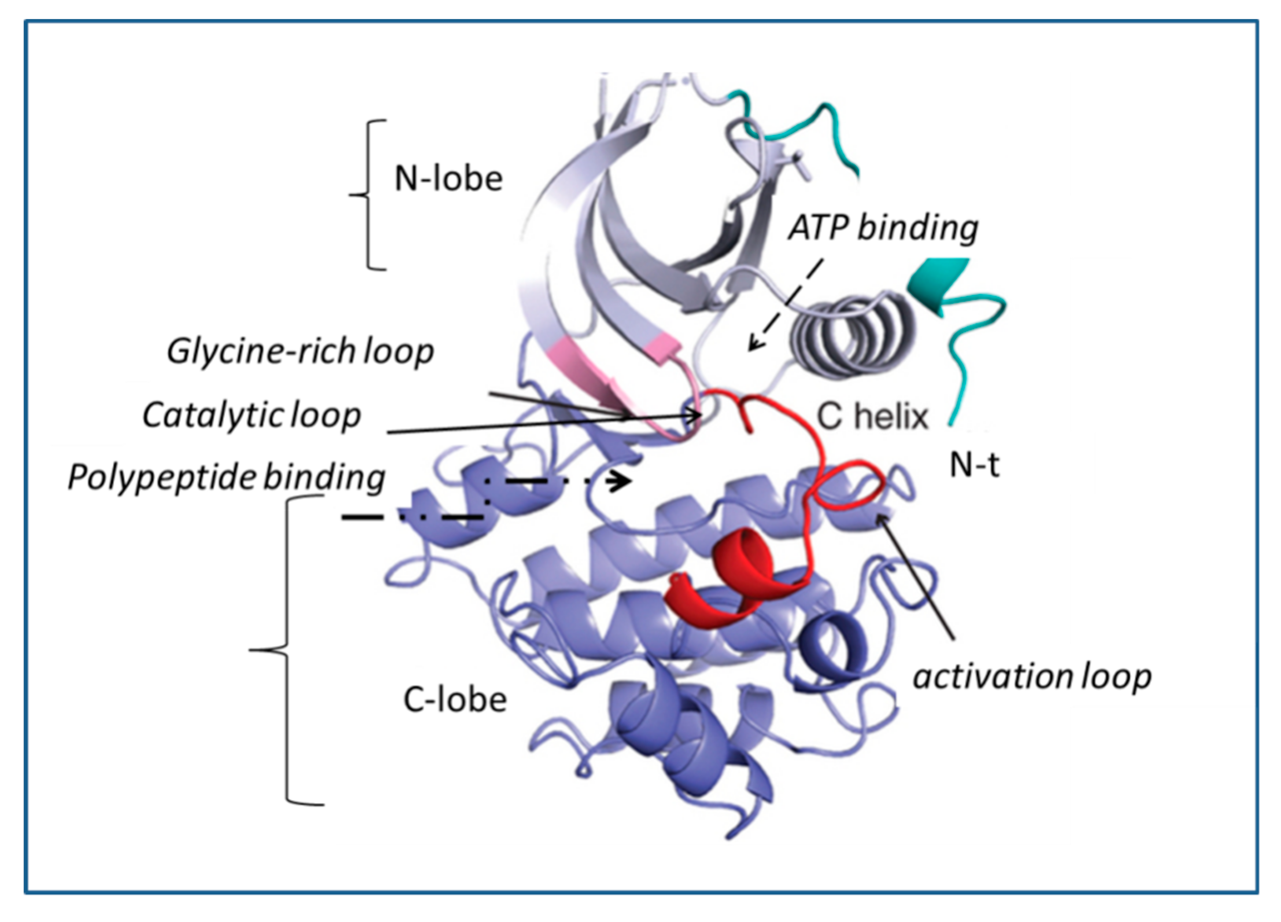 Catalysts 09 00778 g001