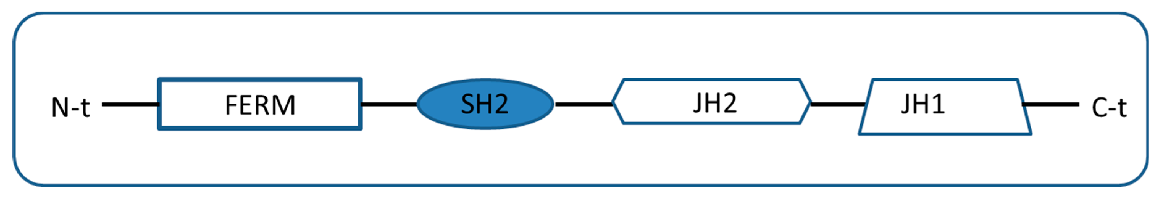 Catalysts 09 00778 g004