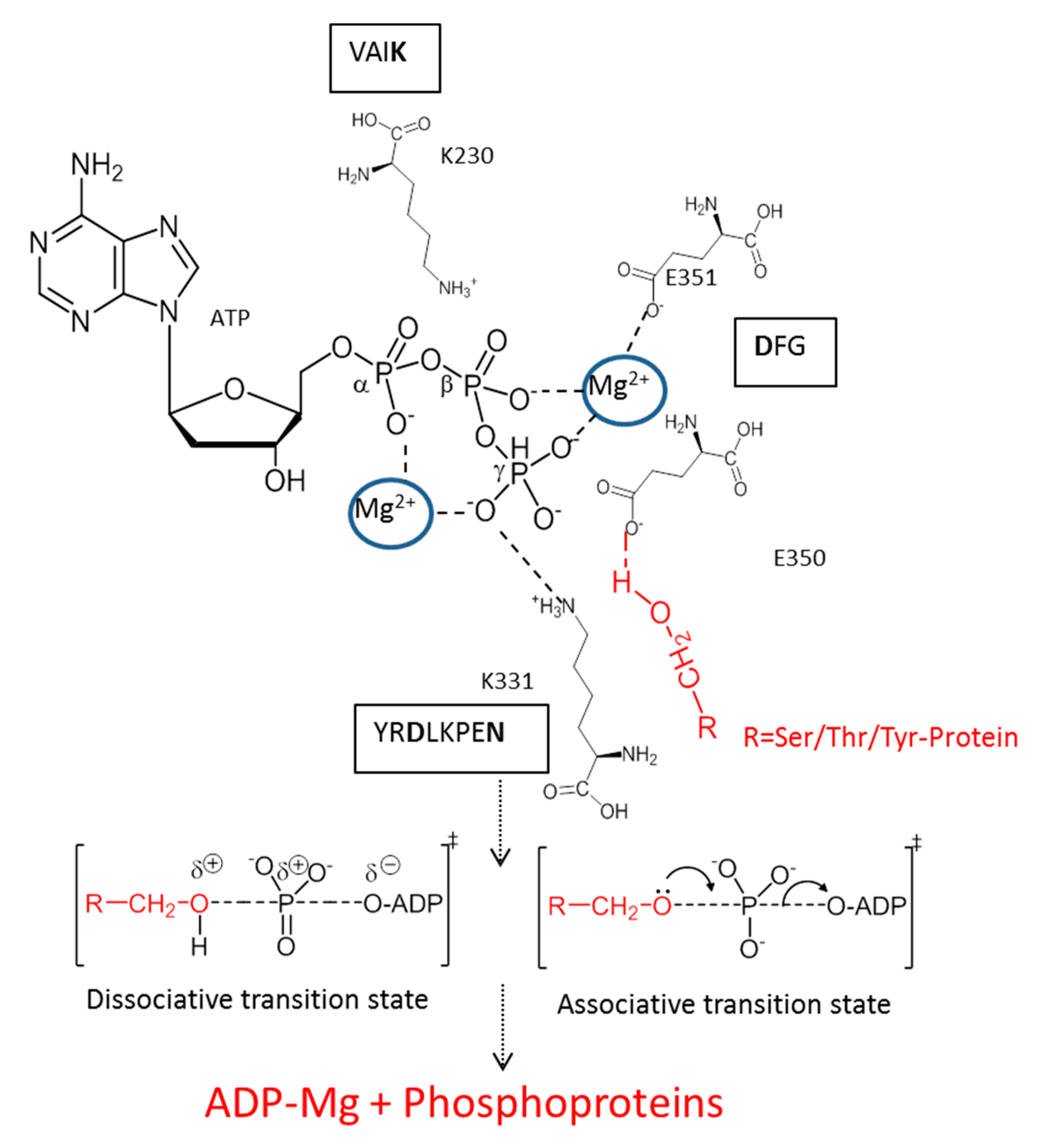 Catalysts 09 00778 g005