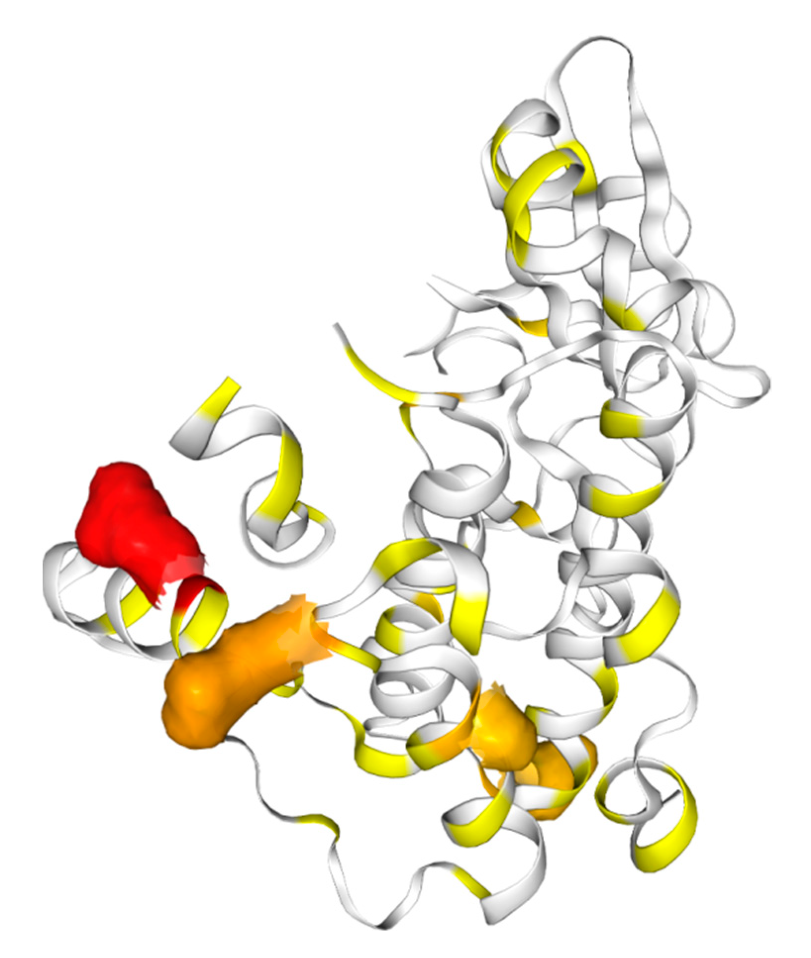 Catalysts 09 00778 g007
