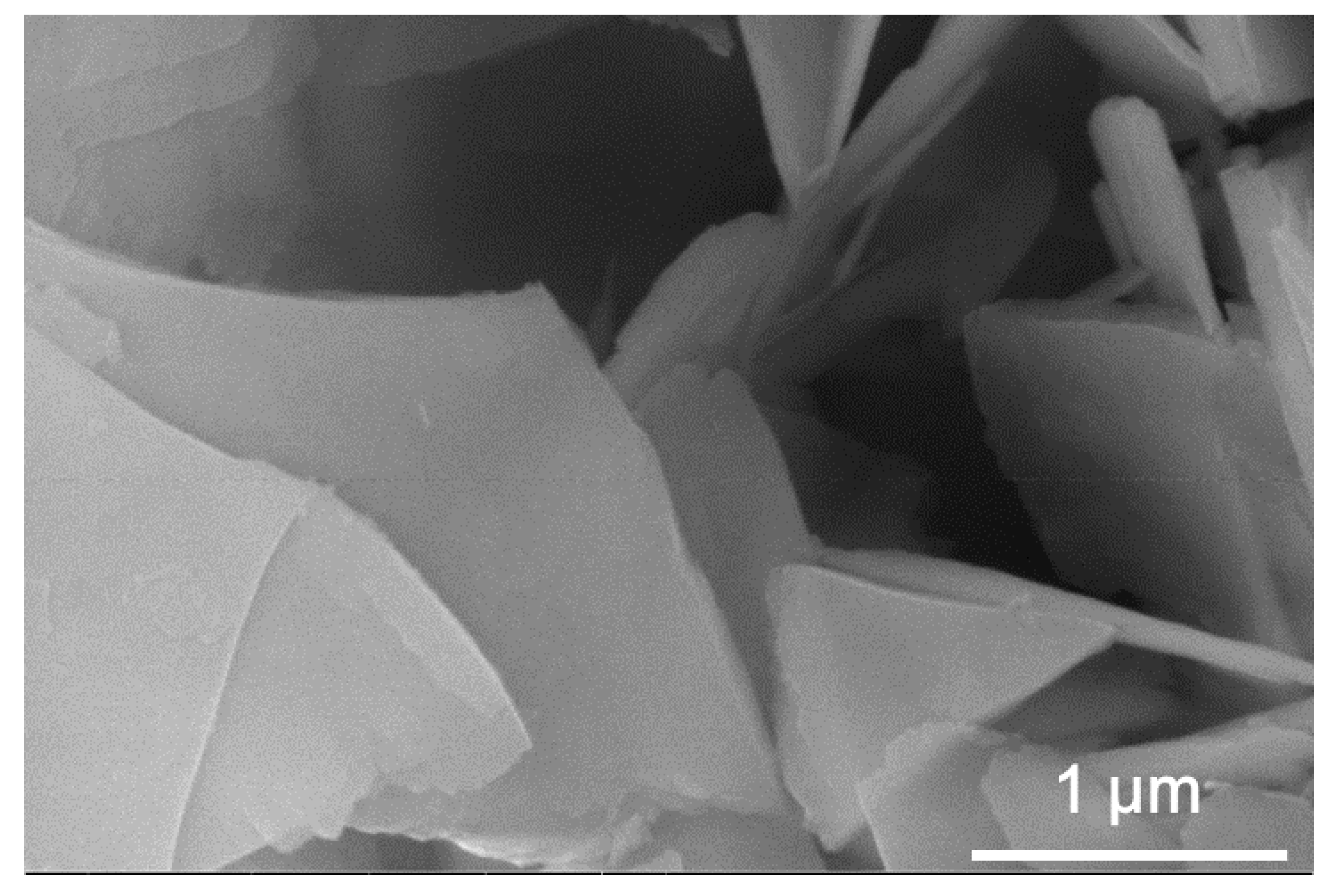 Catalysts 09 00787 g001