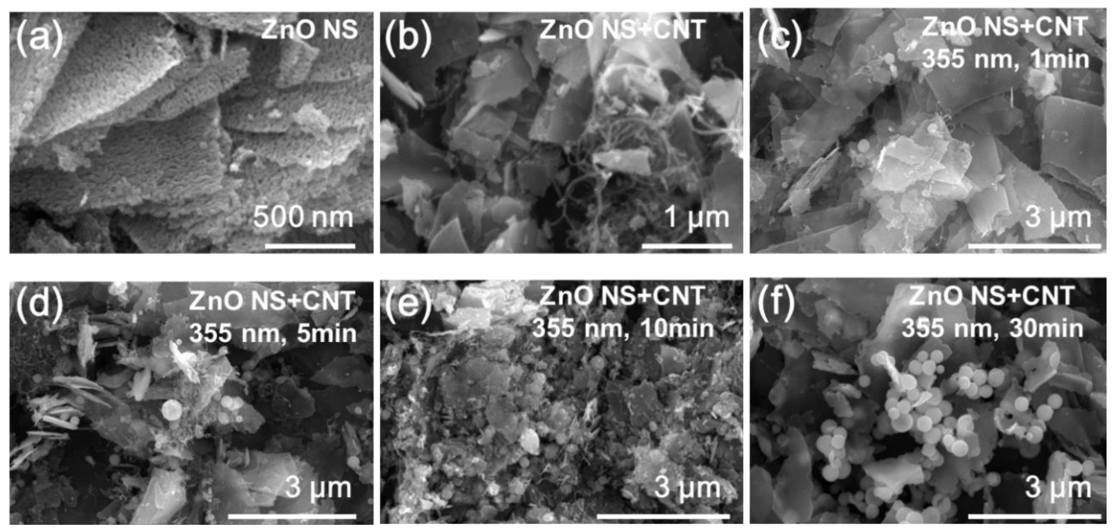 Catalysts 09 00787 g002