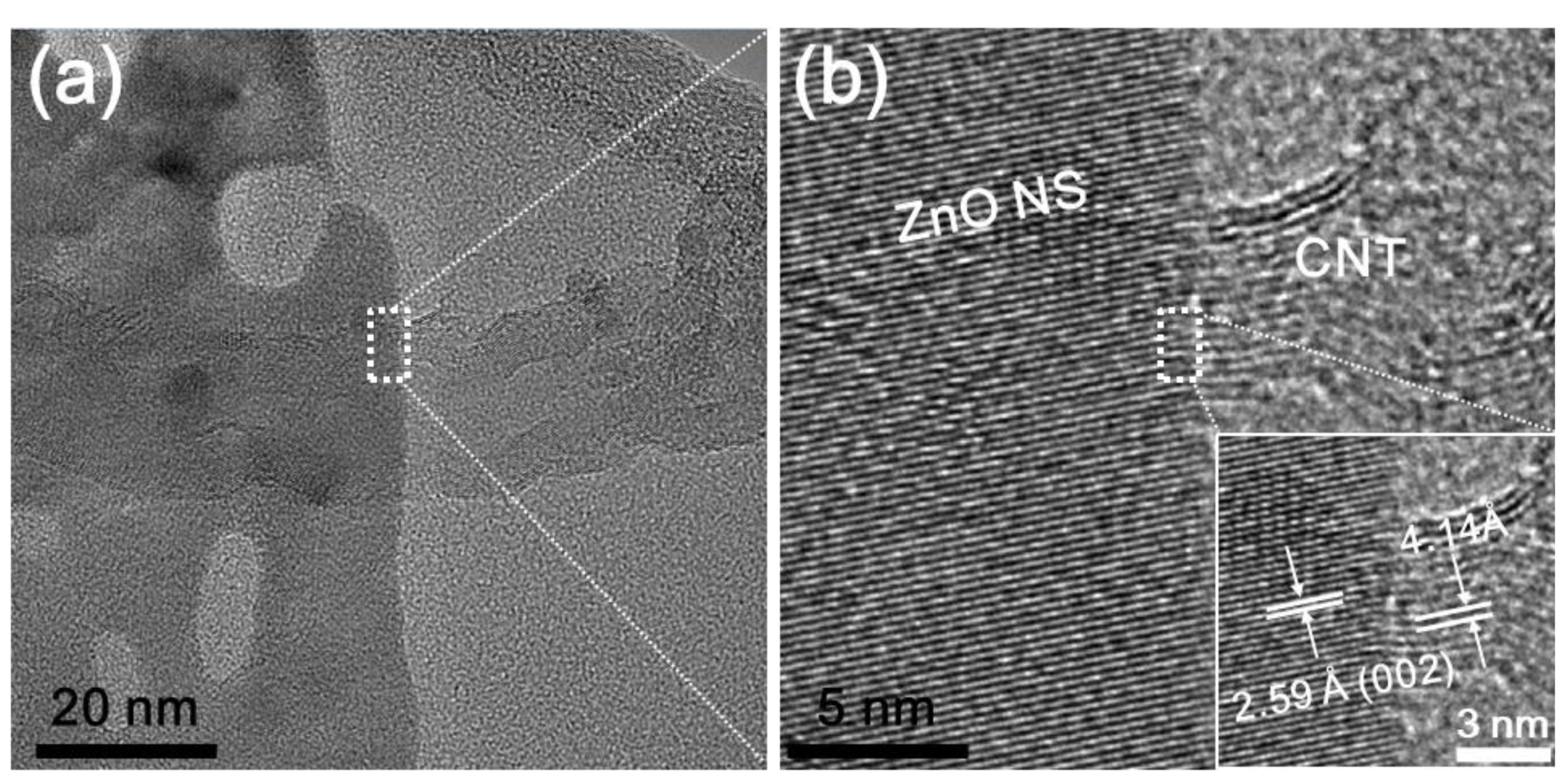 Catalysts 09 00787 g007