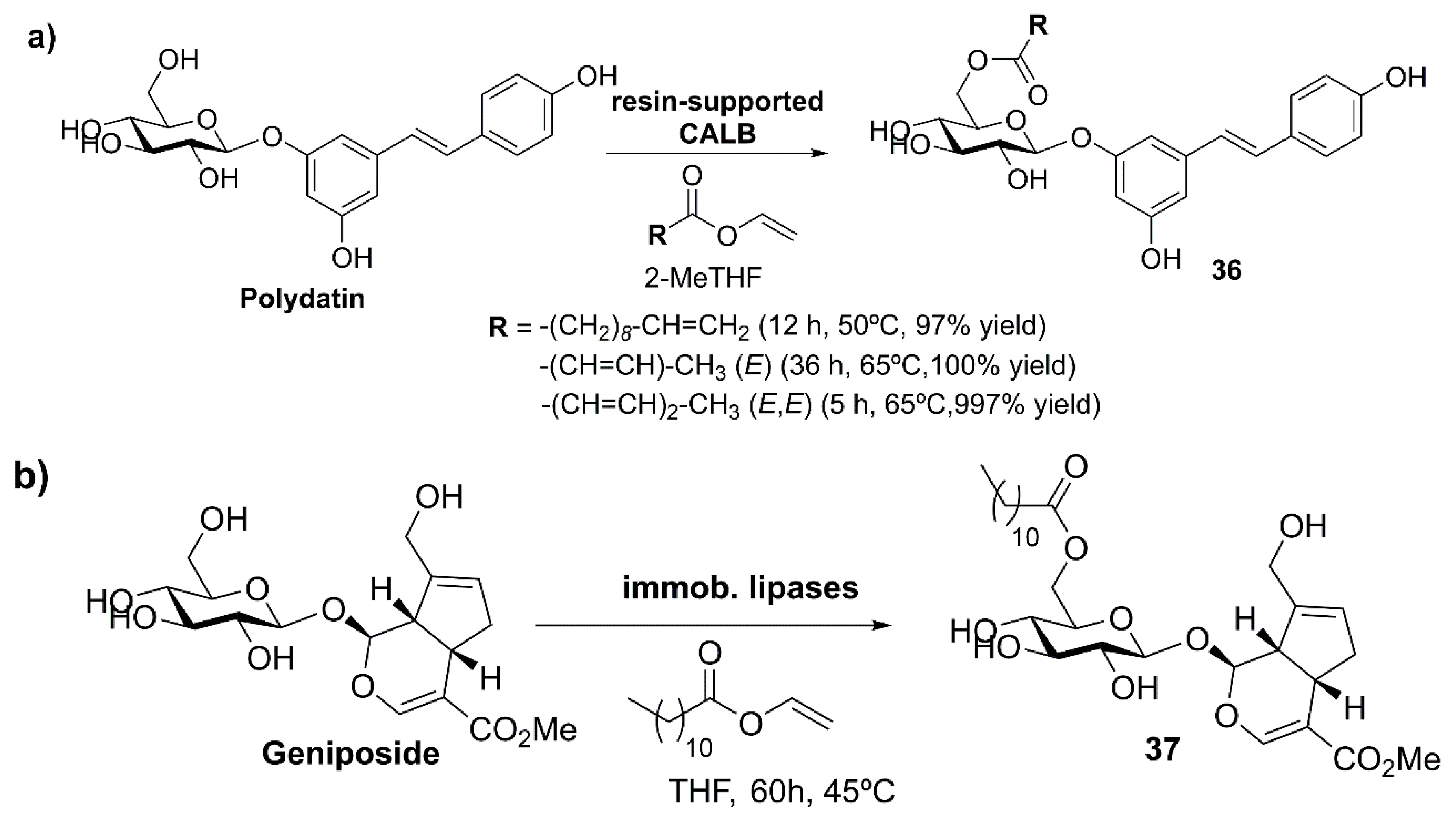 Catalysts 09 00802 sch014 Catalysts 09 00802 sch014