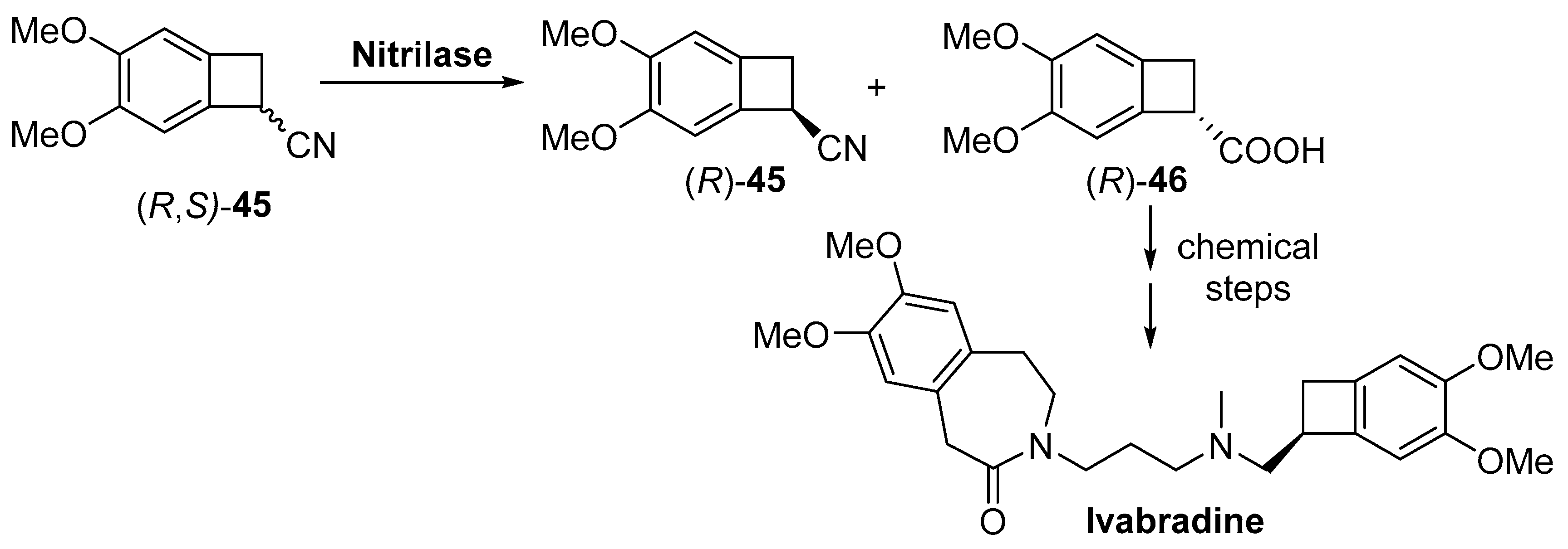 Catalysts 09 00802 sch018 Catalysts 09 00802 sch018