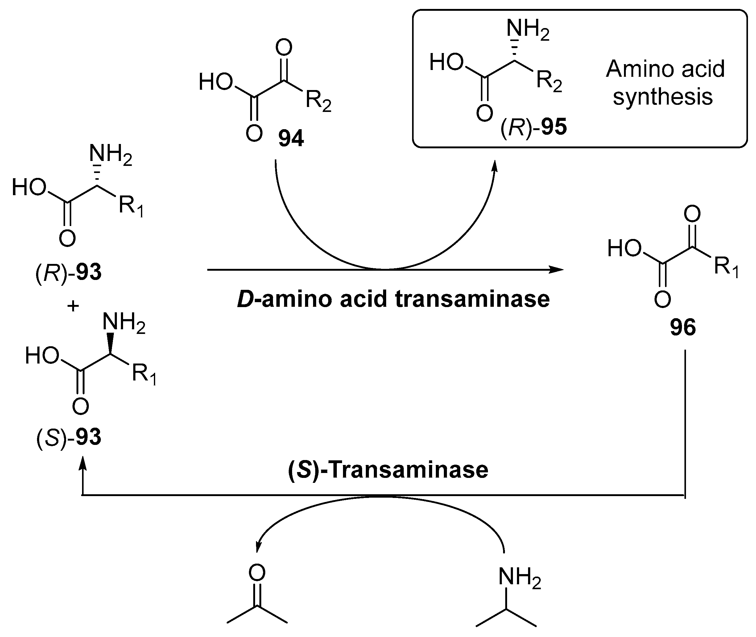 Catalysts 09 00802 sch035 Catalysts 09 00802 sch035
