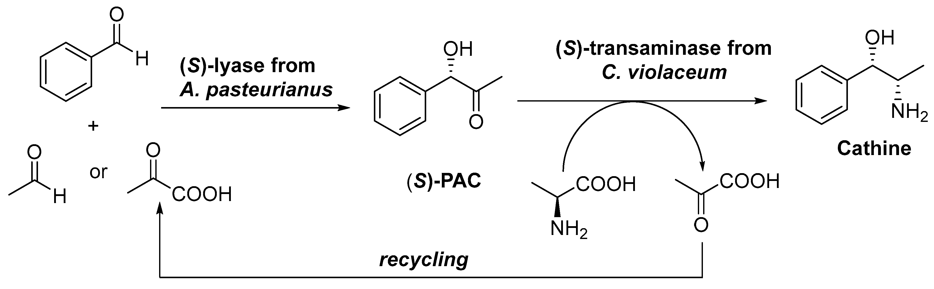 Catalysts 09 00802 sch036 Catalysts 09 00802 sch036