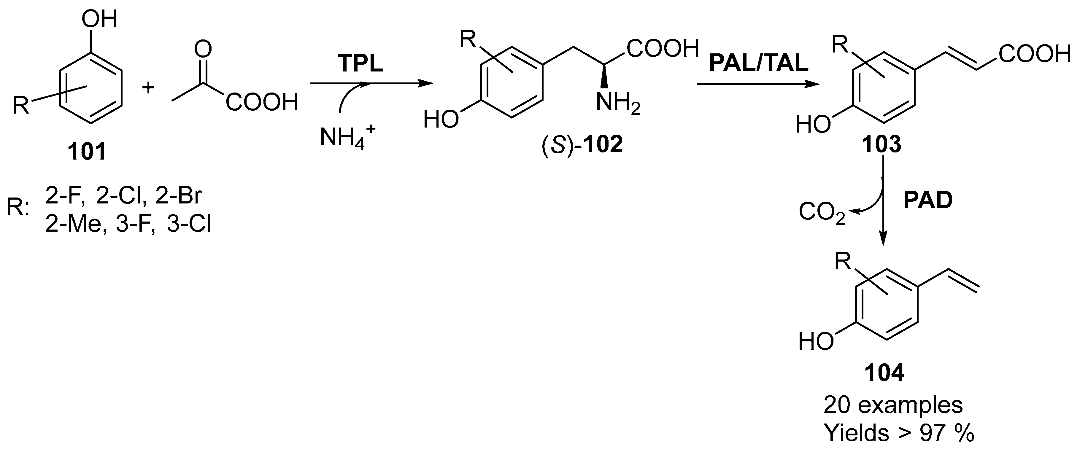 Catalysts 09 00802 sch038 Catalysts 09 00802 sch038