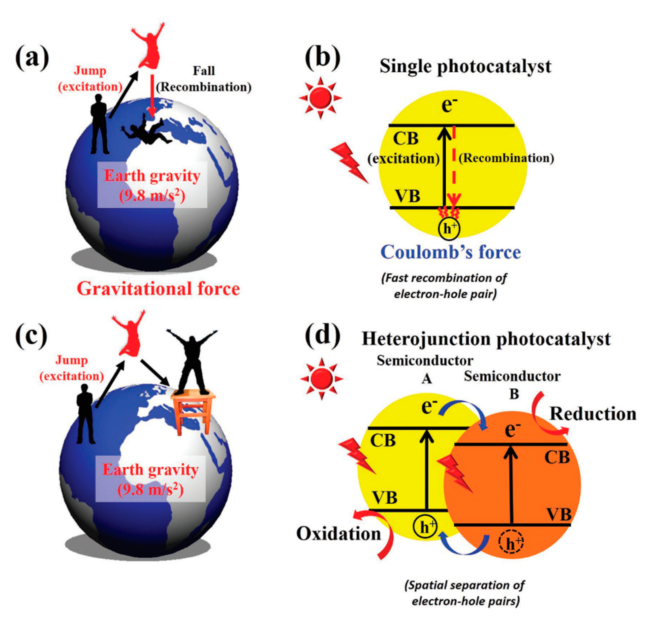 Catalysts 09 00805 g006