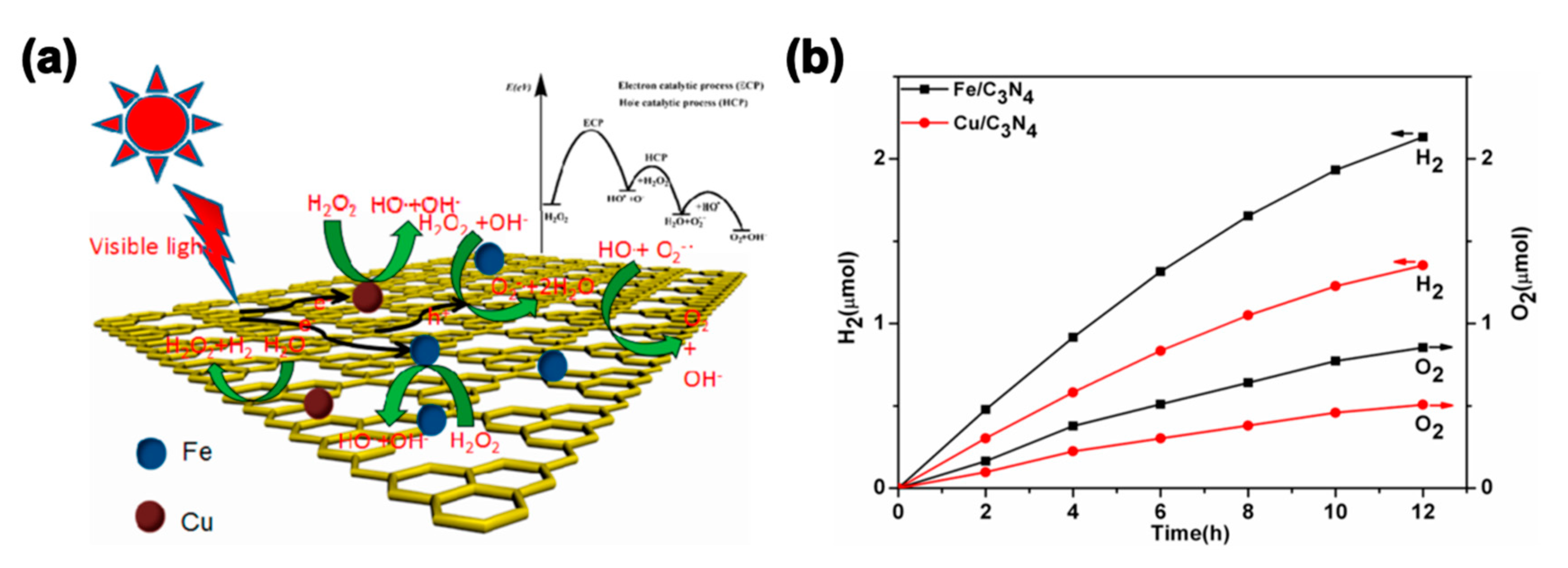 Catalysts 09 00805 g009