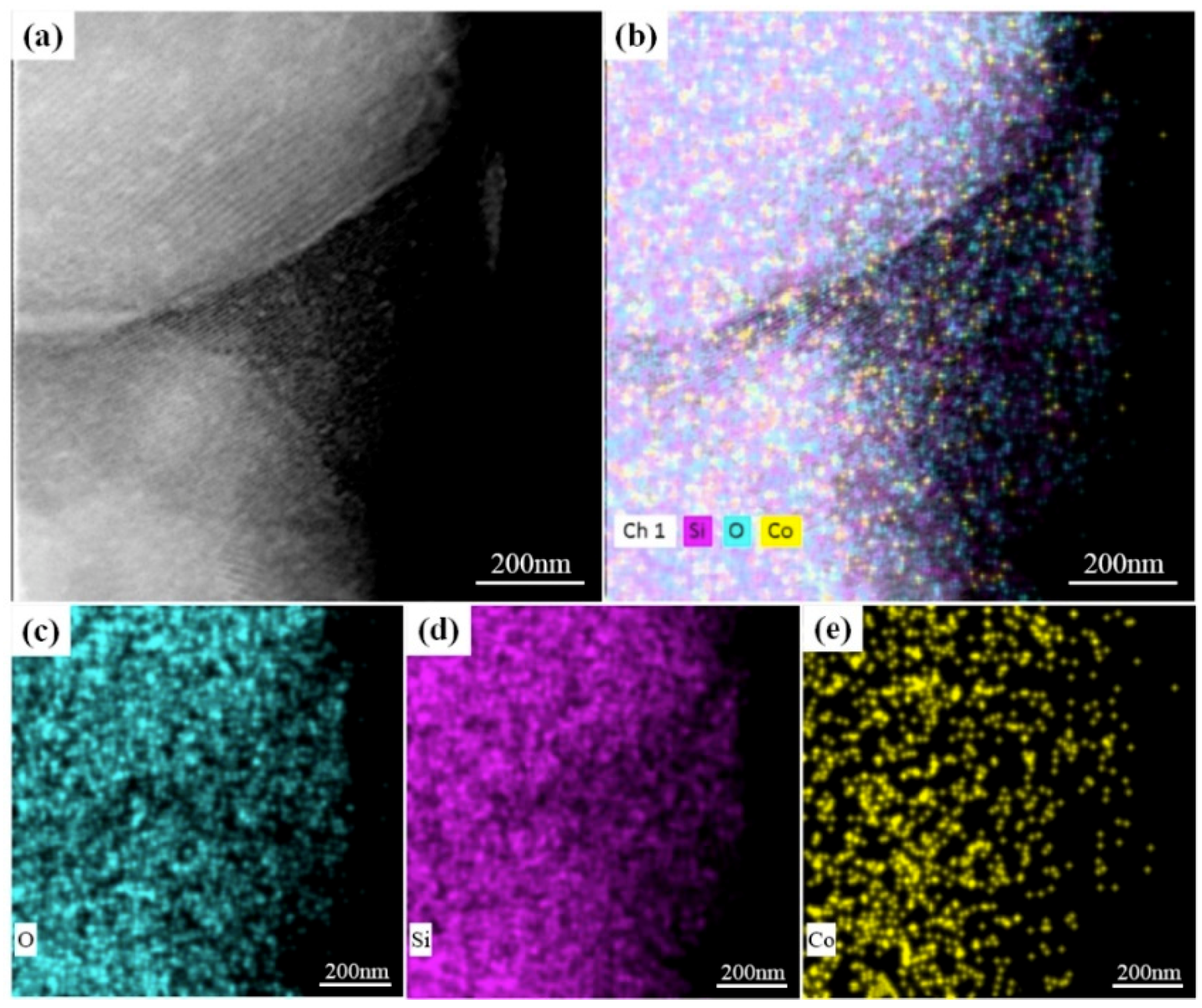 Catalysts 09 00809 g004