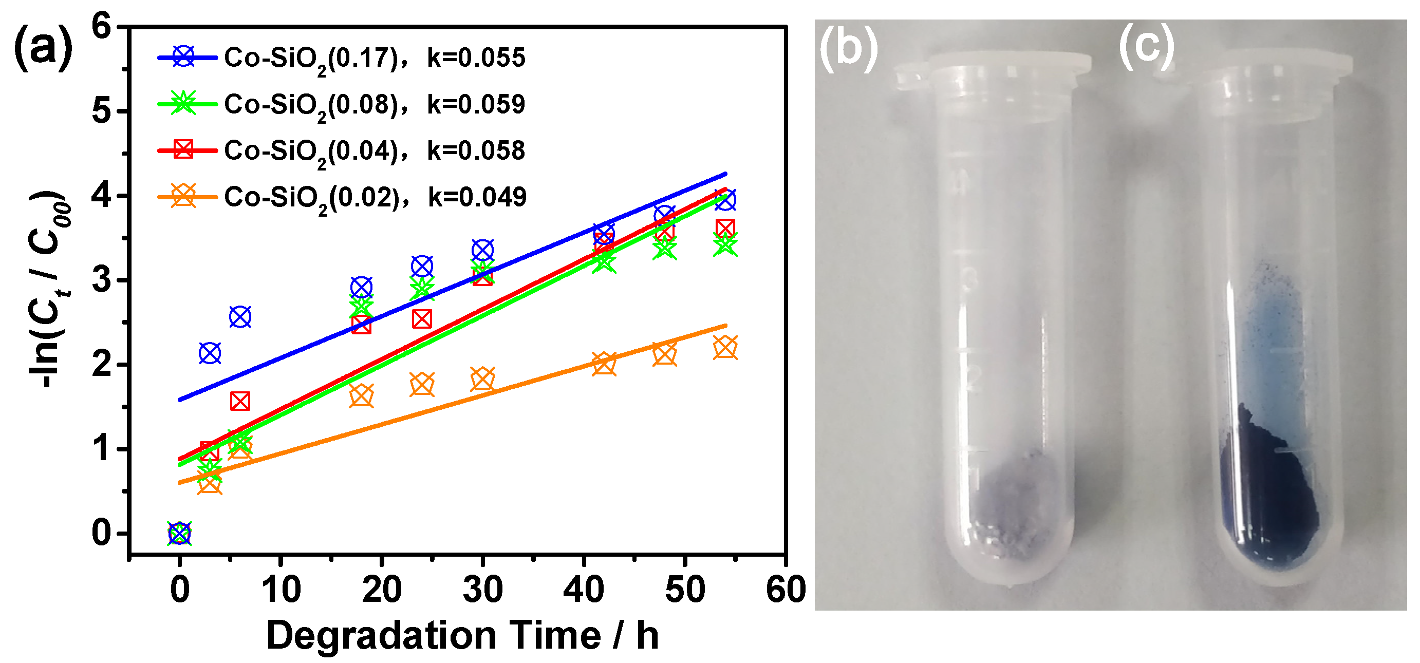 Catalysts 09 00809 g008