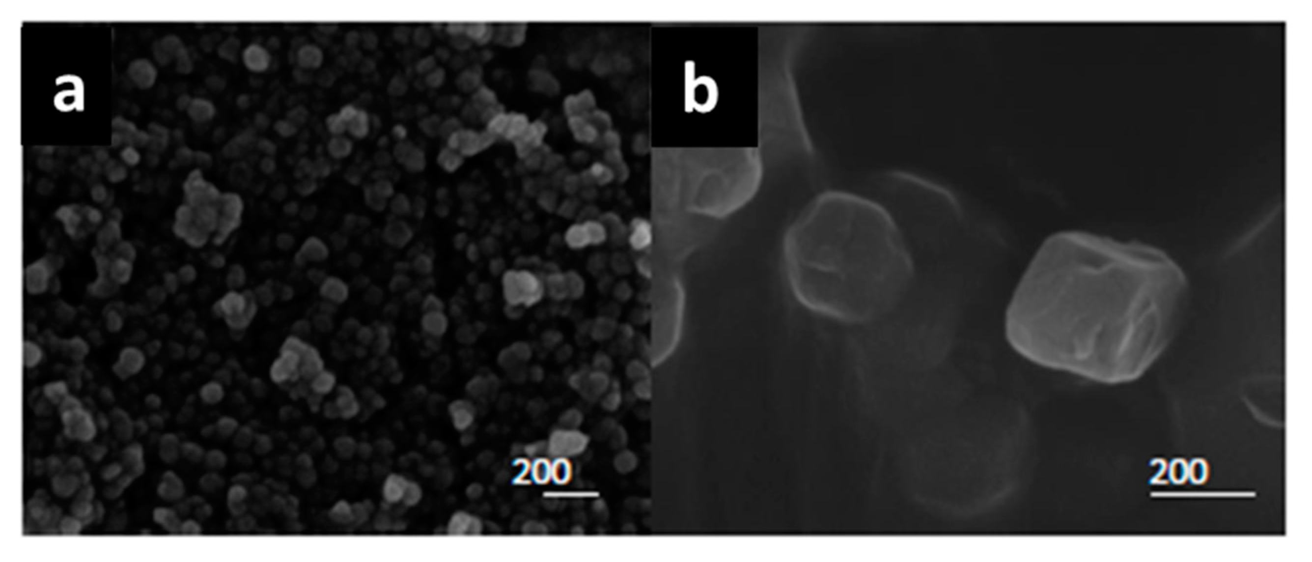 Catalysts 09 00812 g005