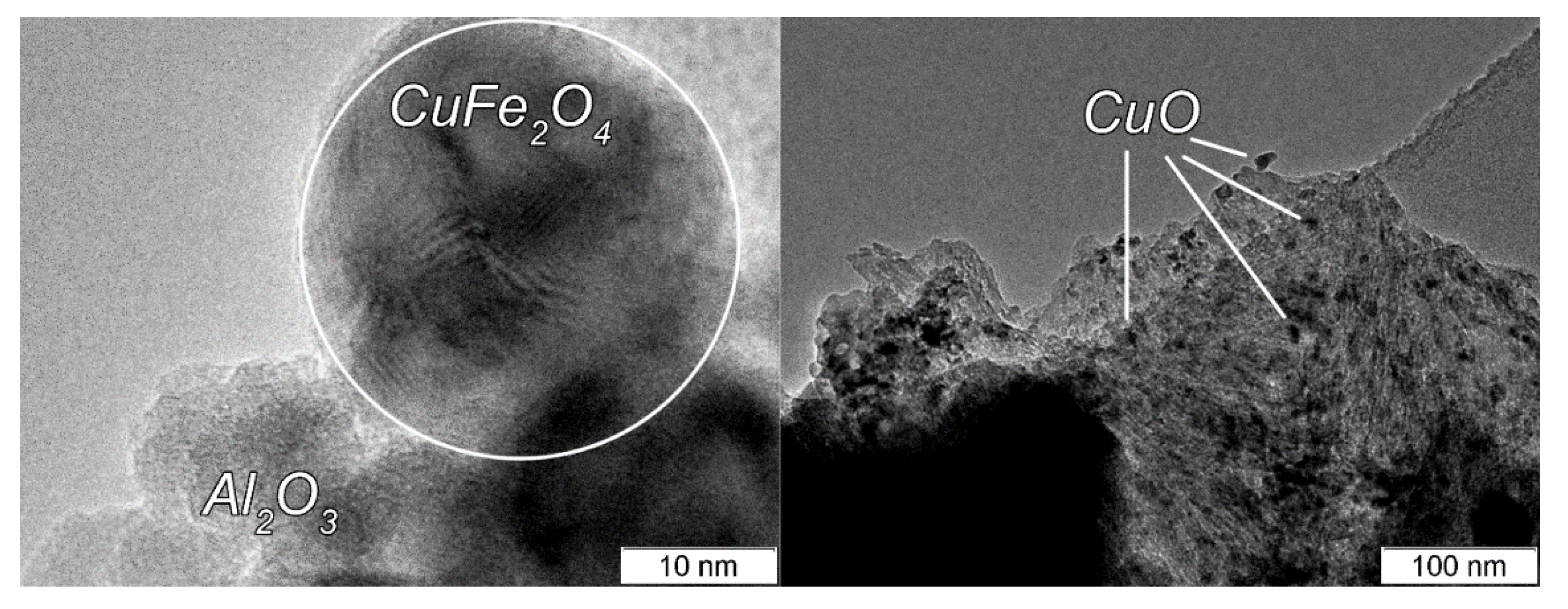 Catalysts 09 00816 g014