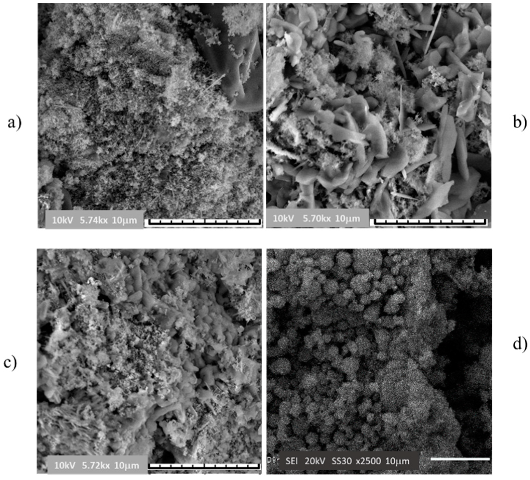 Catalysts 09 00817 g003 Catalysts 09 00817 g003