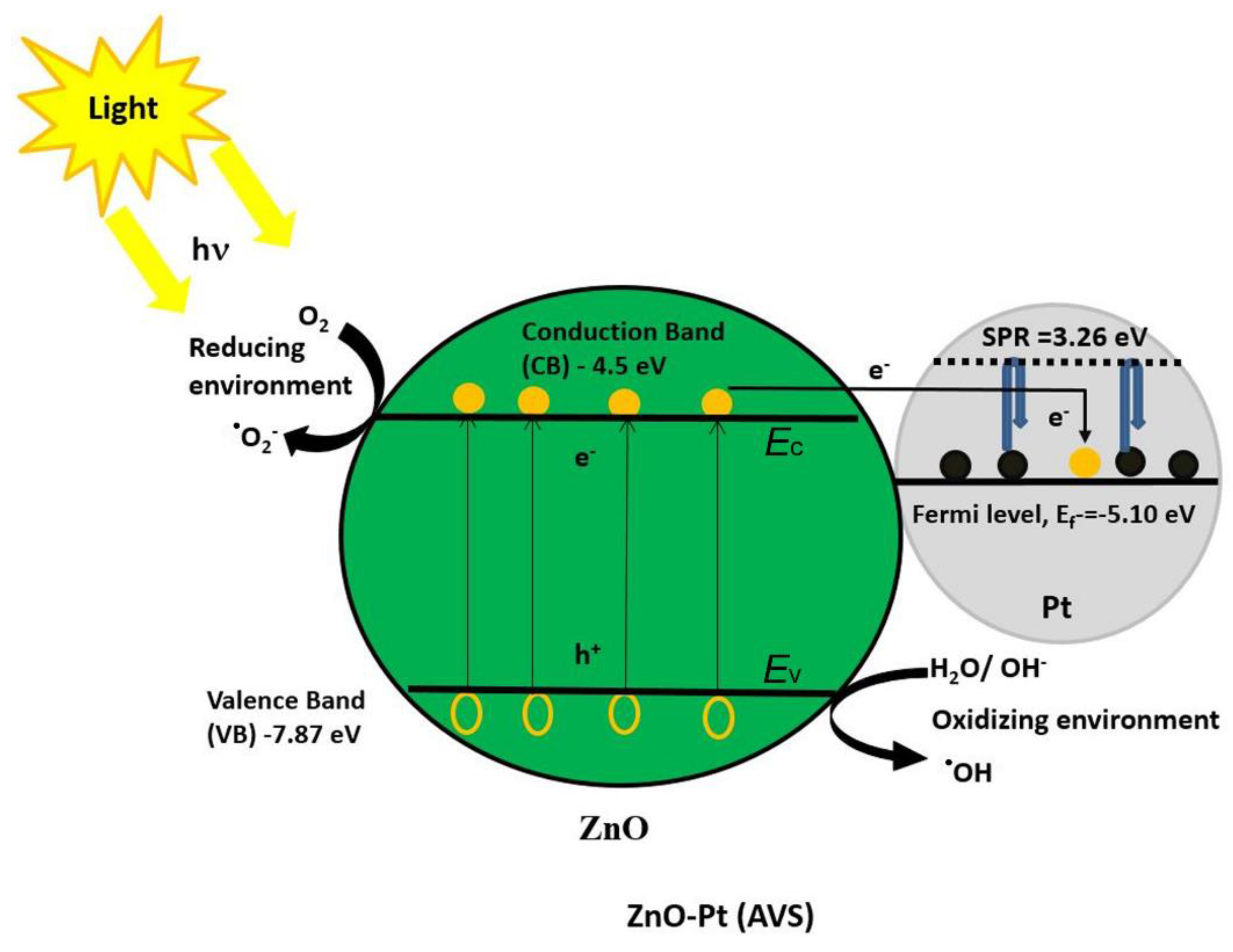 Catalysts 09 00819 g005 Catalysts 09 00819 g005