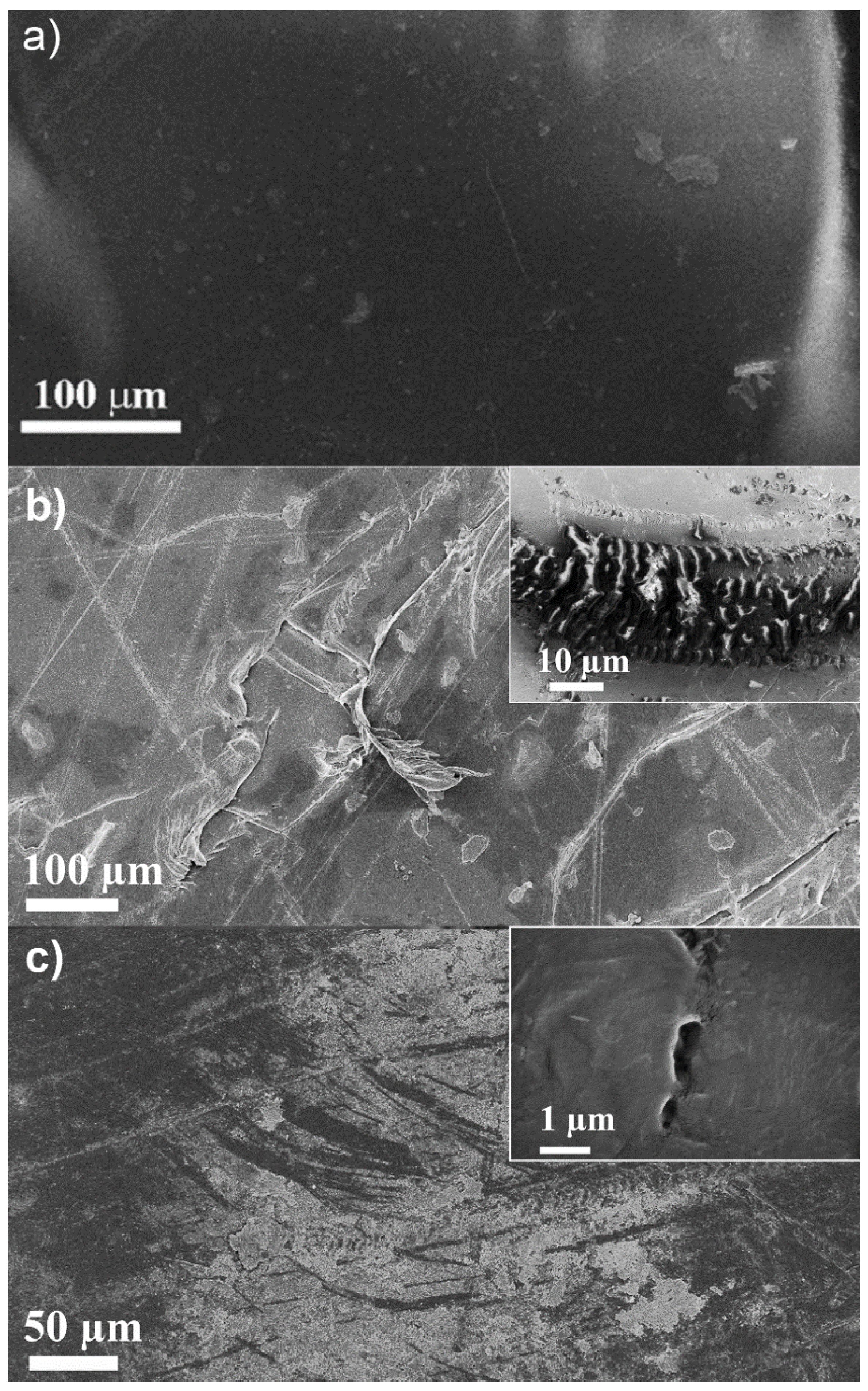 Catalysts 09 00819 g007 Catalysts 09 00819 g007