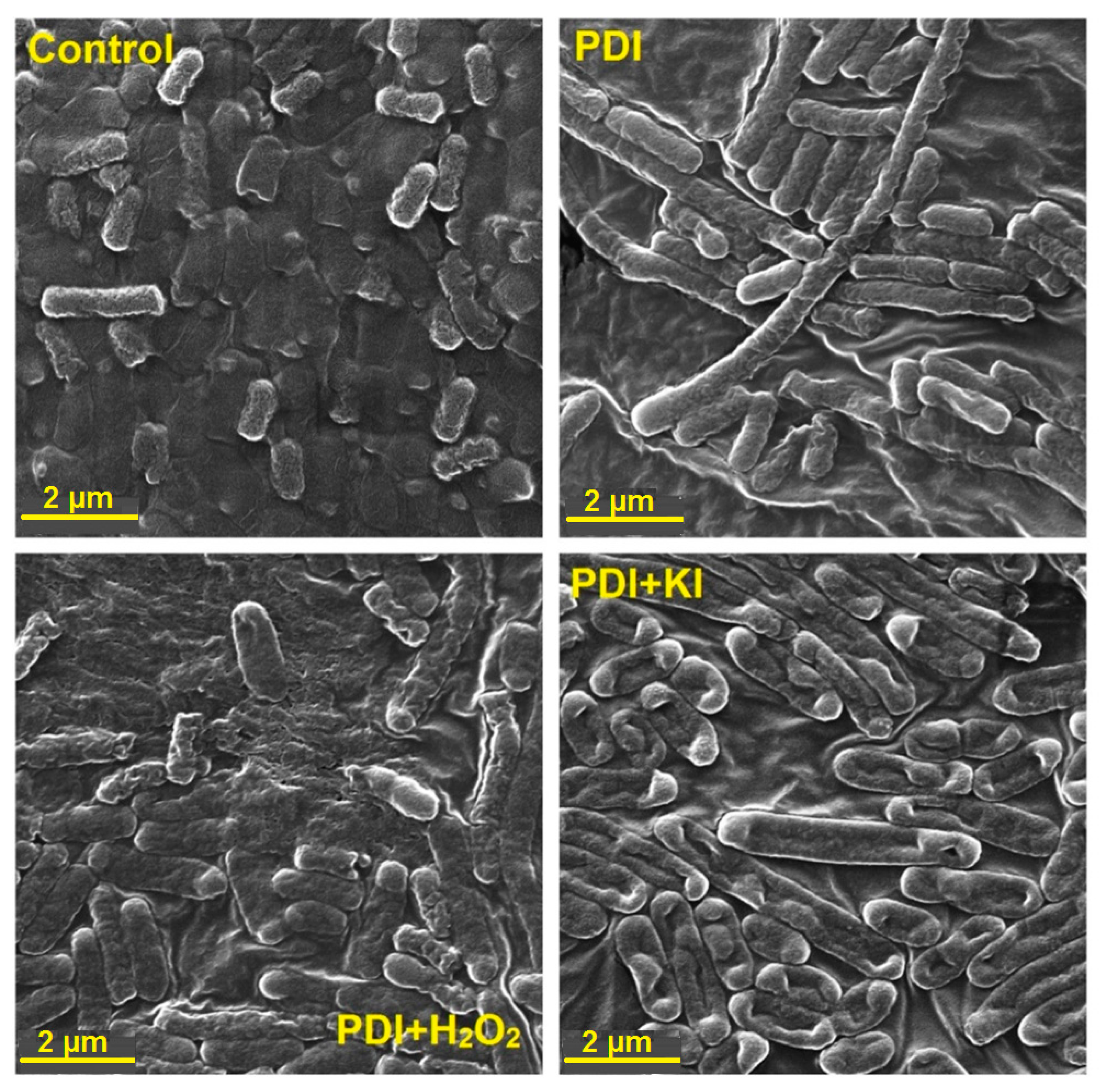 Catalysts 09 00821 g010 Catalysts 09 00821 g010