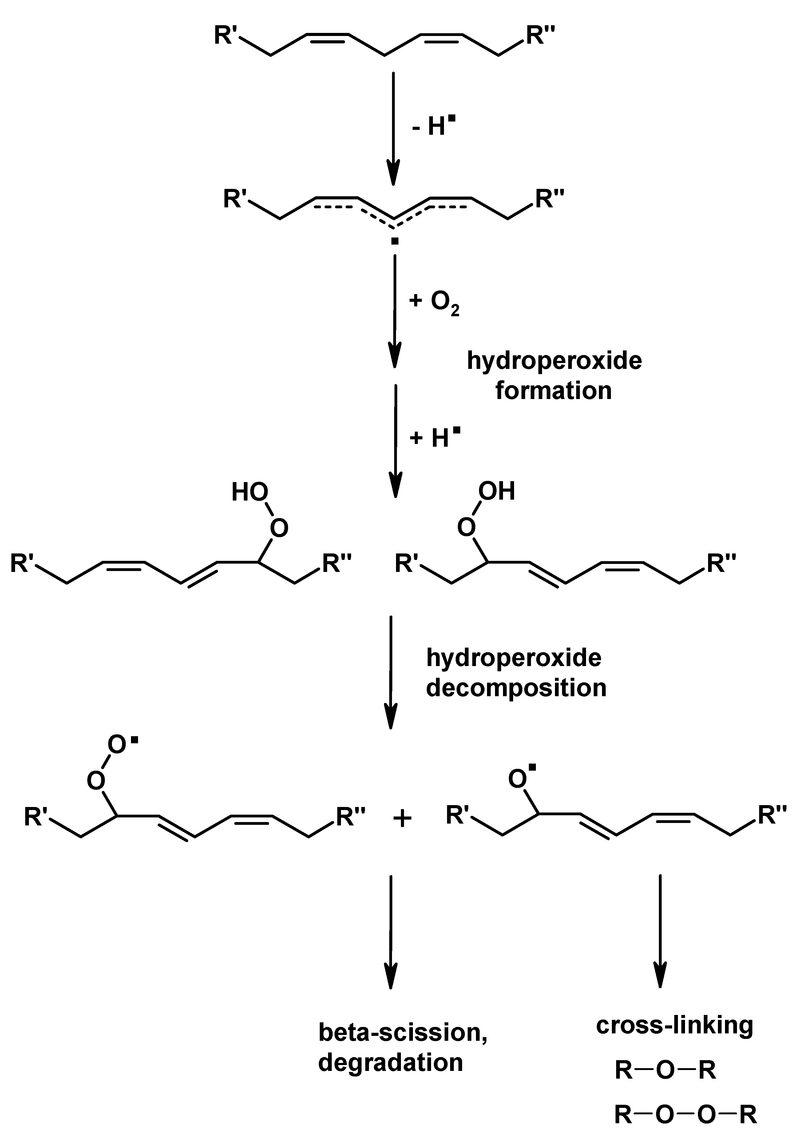 Catalysts 09 00825 g002