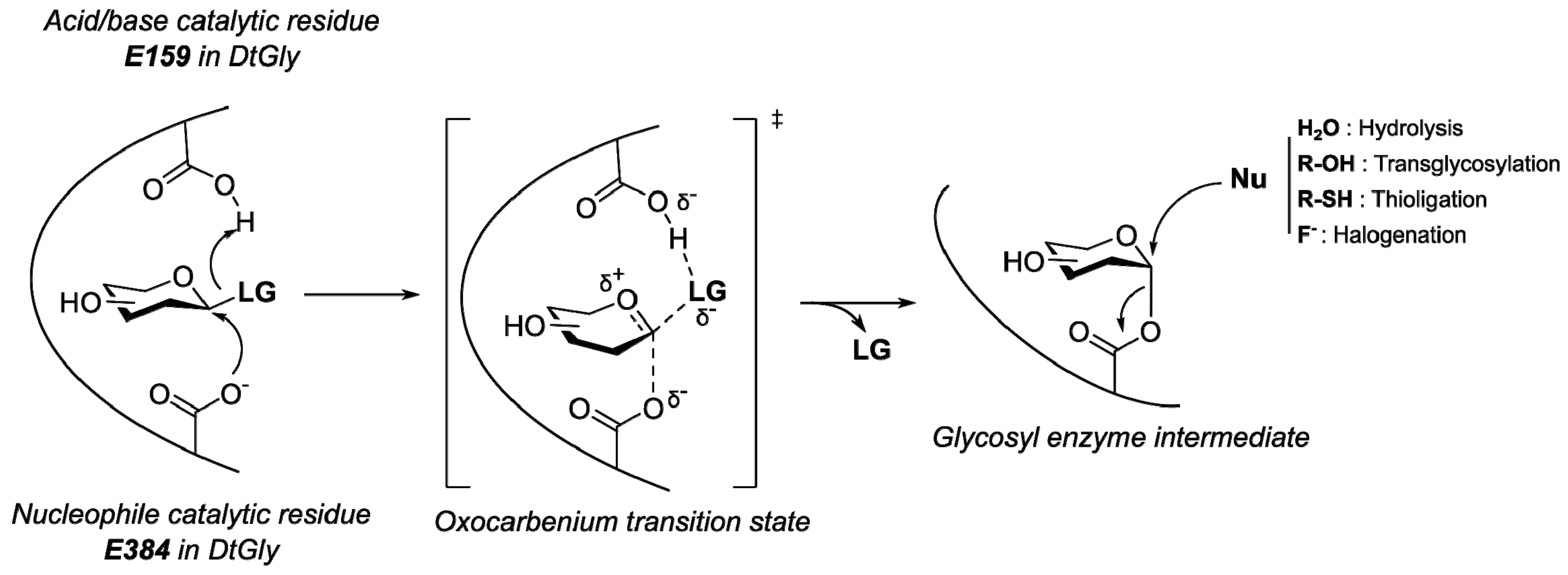 Catalysts 09 00826 g001 Catalysts 09 00826 g001