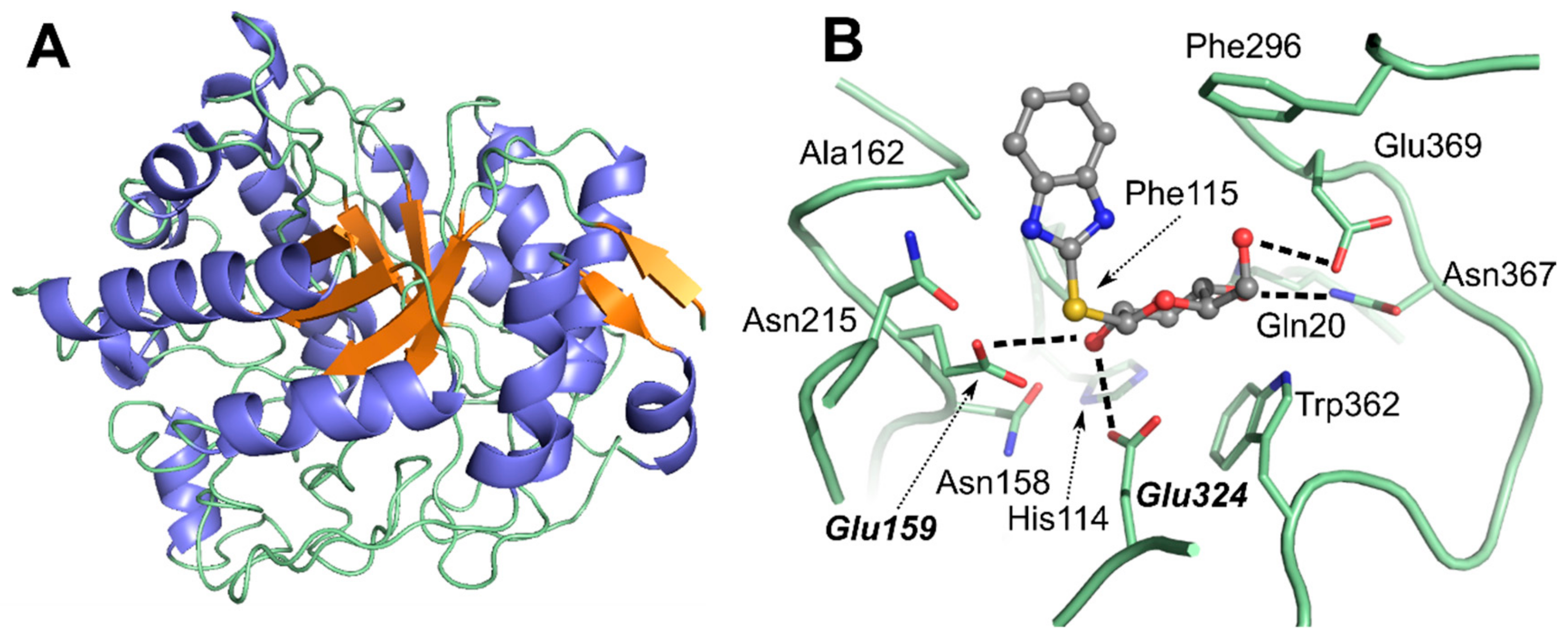 Catalysts 09 00826 g004 Catalysts 09 00826 g004