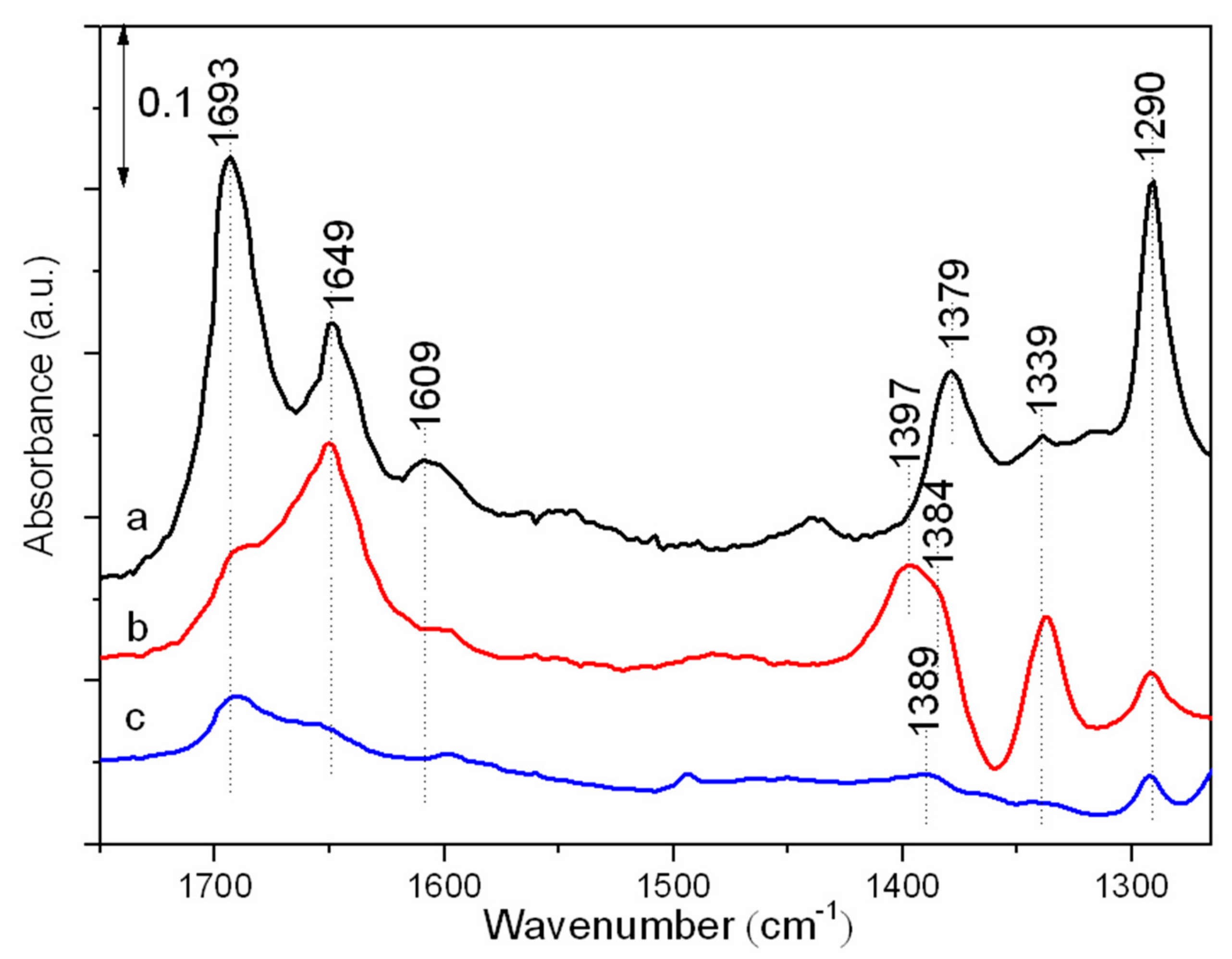Catalysts 09 00829 g005