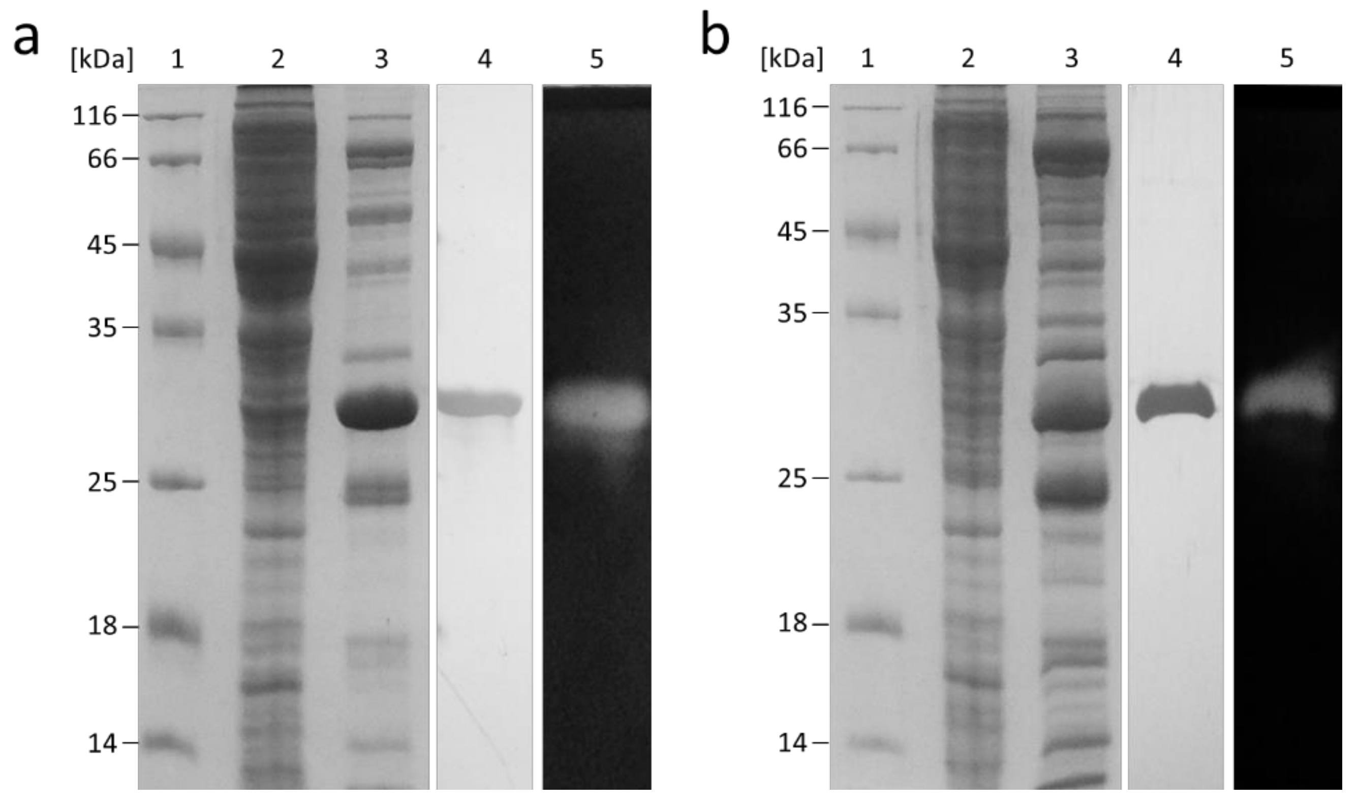 Catalysts 09 00830 g003 Catalysts 09 00830 g003