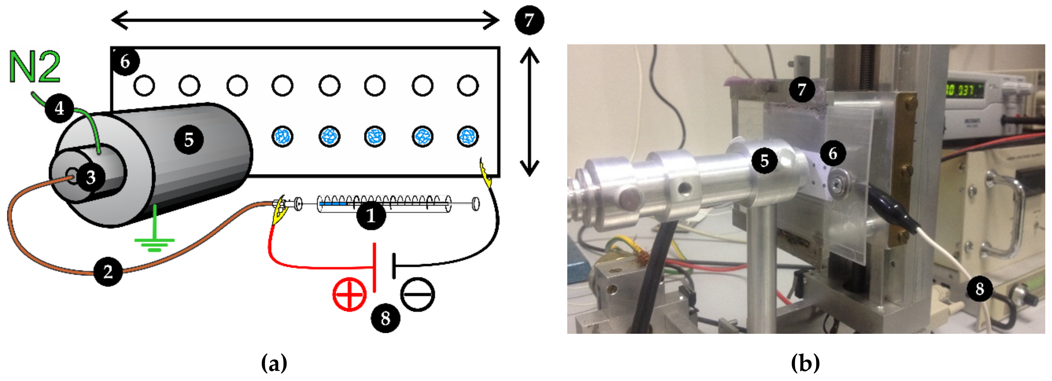 Catalysts 09 00833 g004 Catalysts 09 00833 g004
