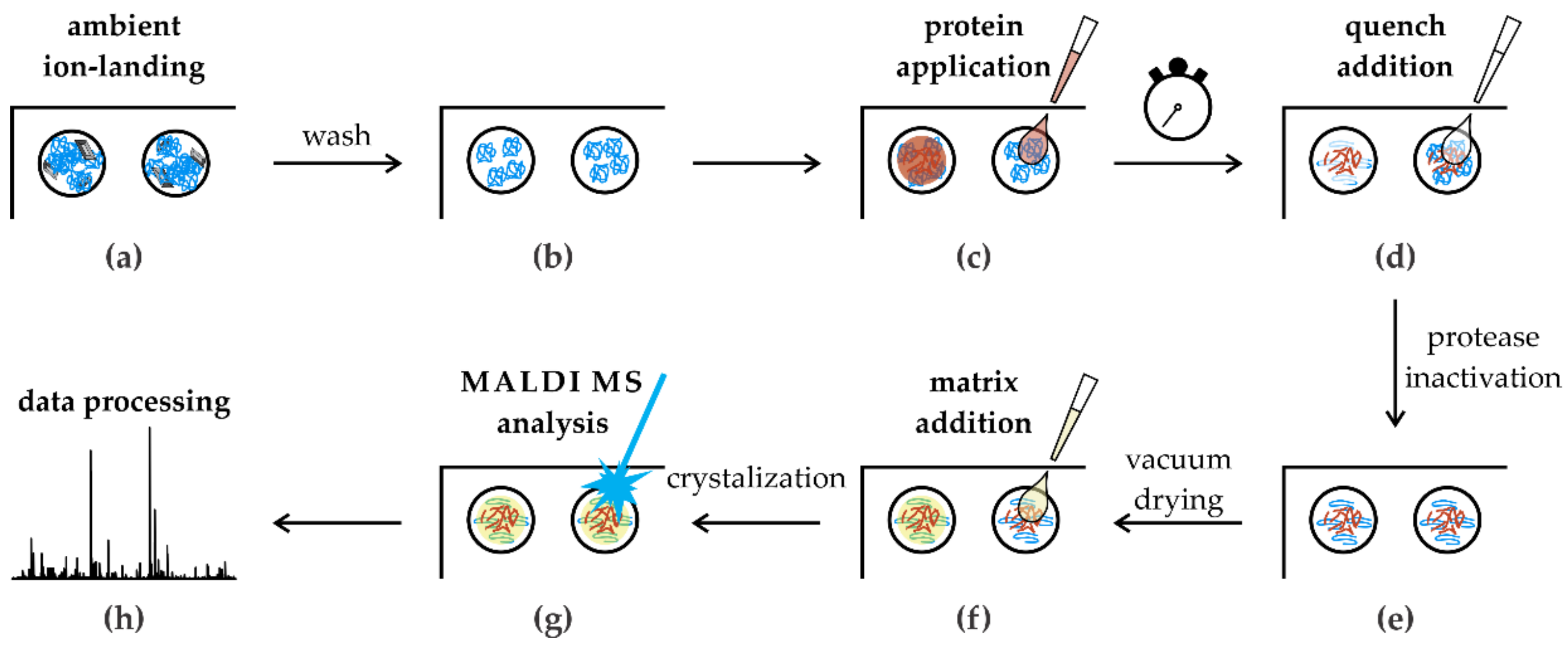 Catalysts 09 00833 g005 Catalysts 09 00833 g005
