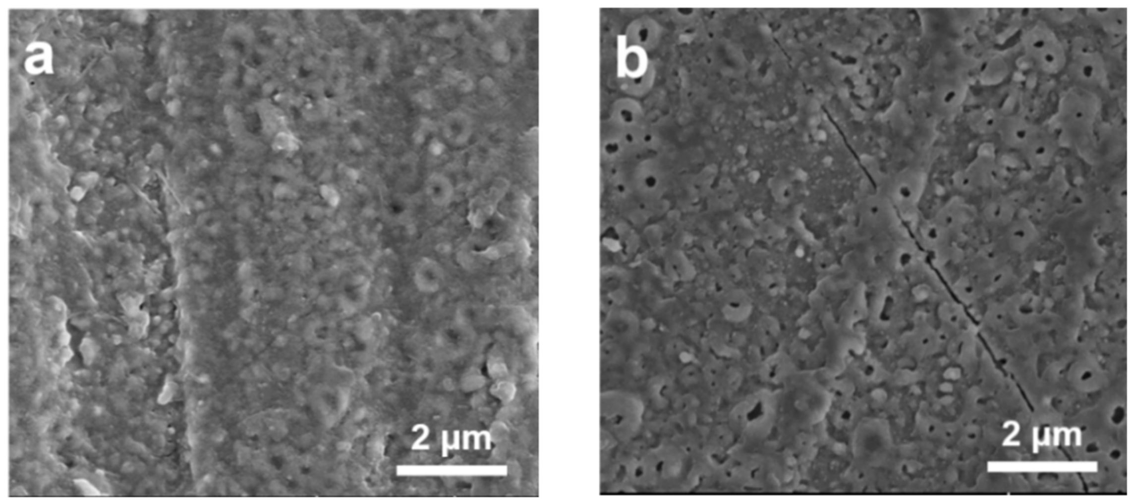 Catalysts 09 00834 g002a Catalysts 09 00834 g002a