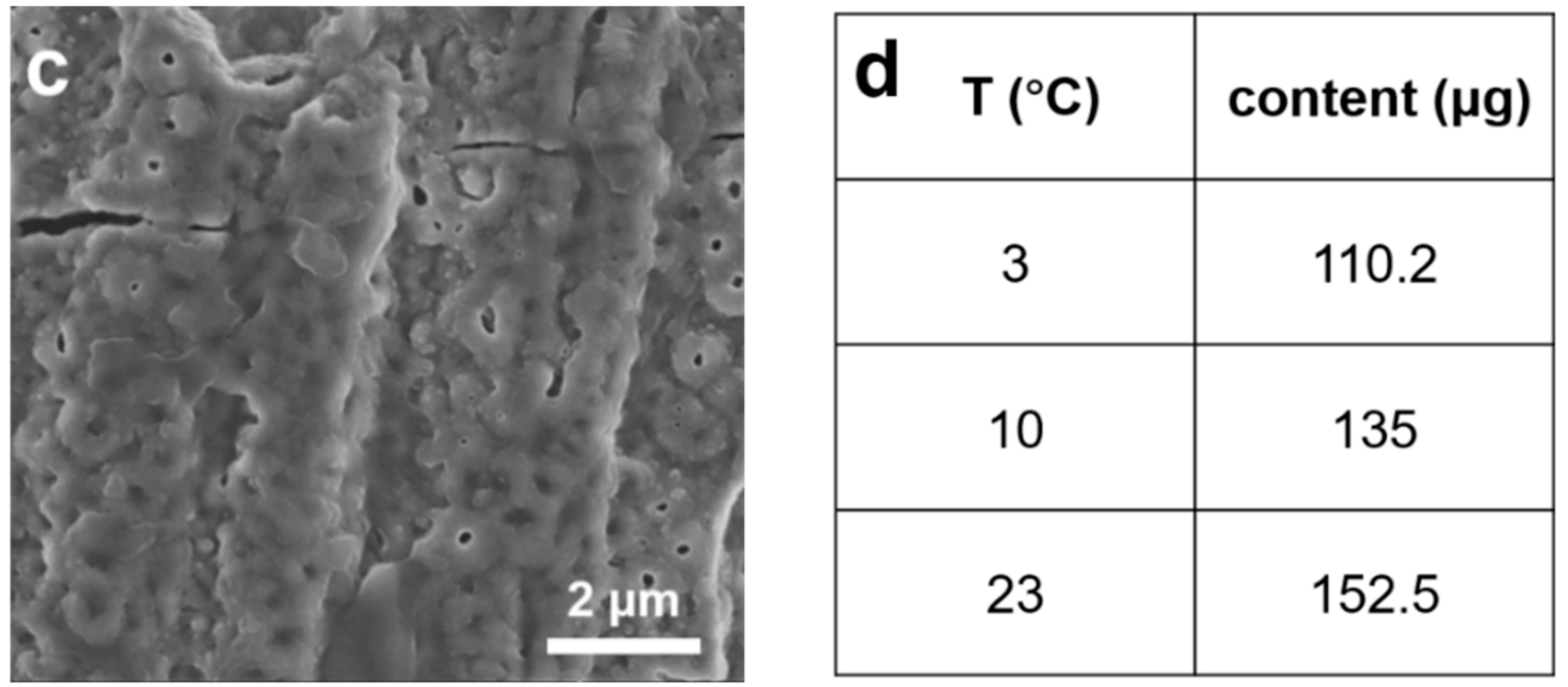 Catalysts 09 00834 g002b Catalysts 09 00834 g002b