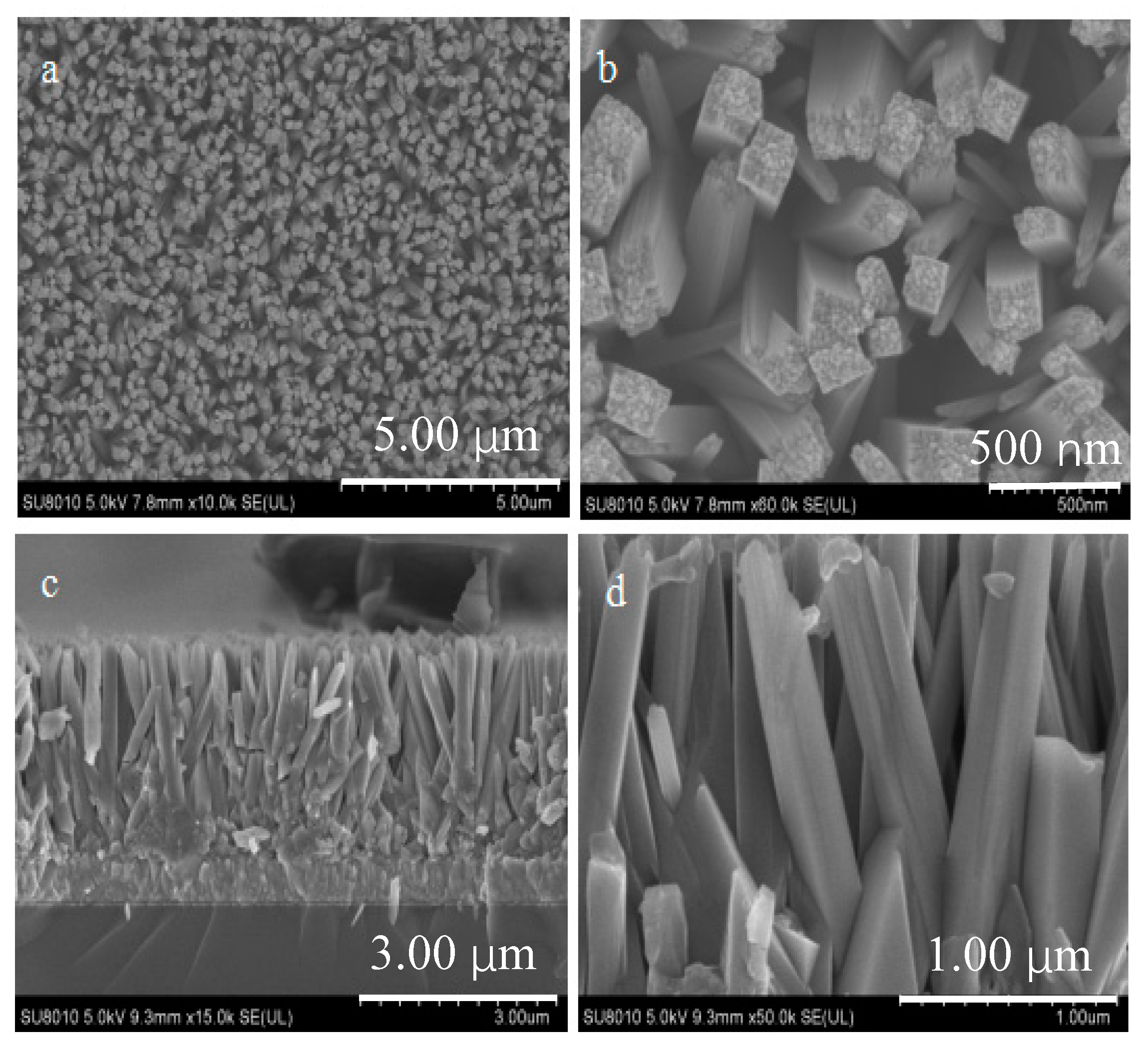 Catalysts 09 00835 g002