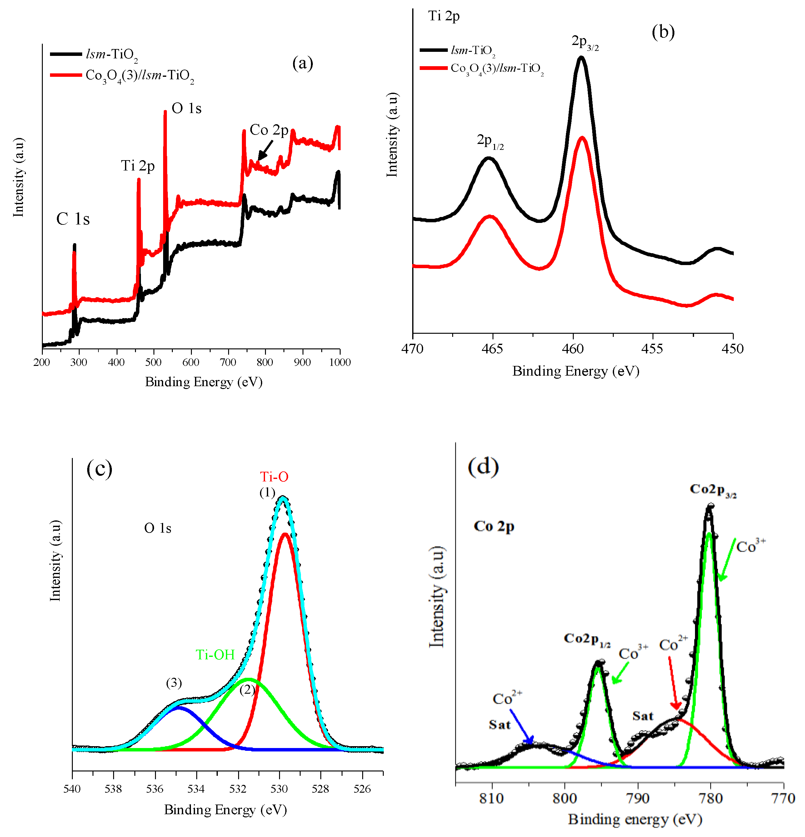 Catalysts 09 00836 g003