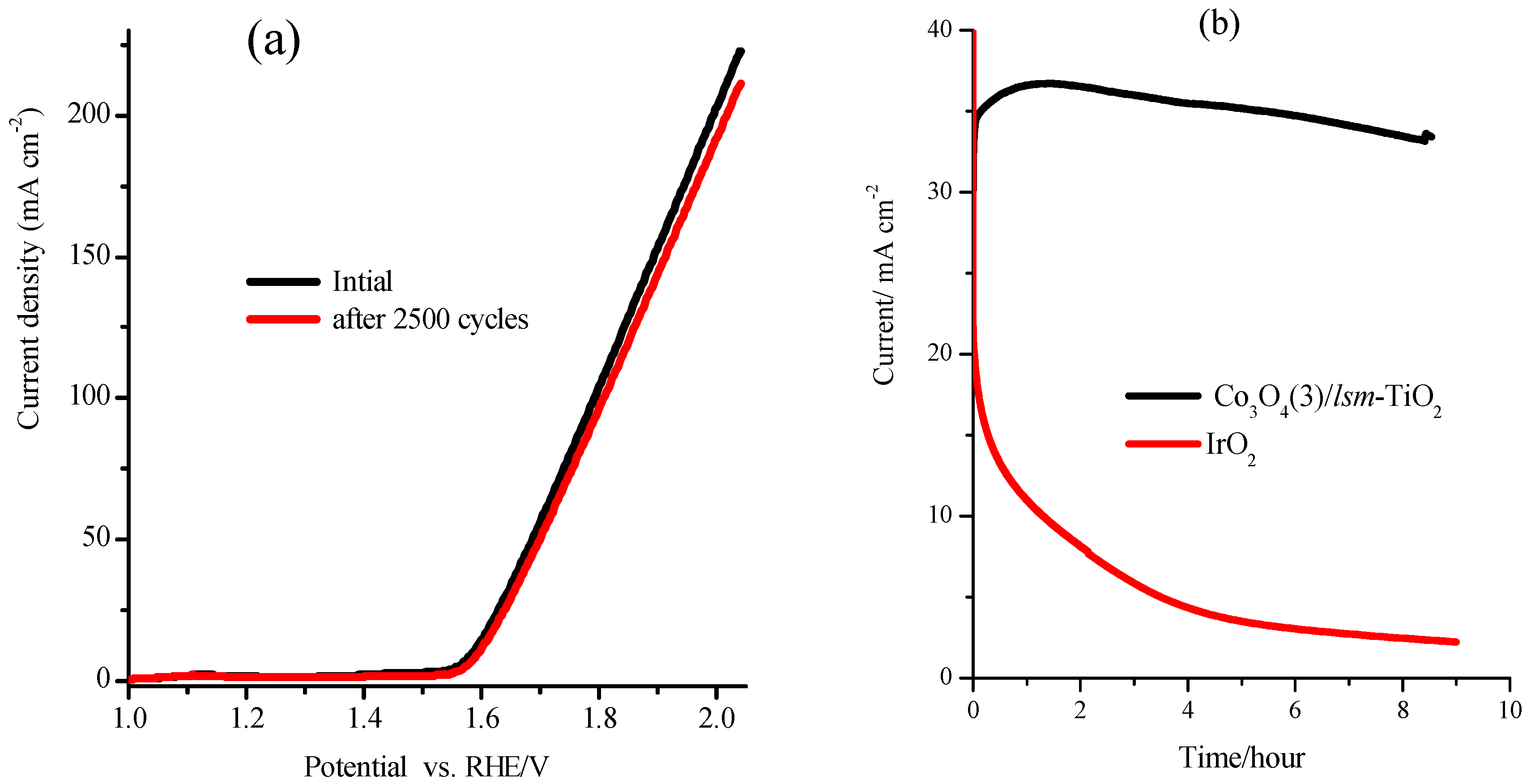 Catalysts 09 00836 g006