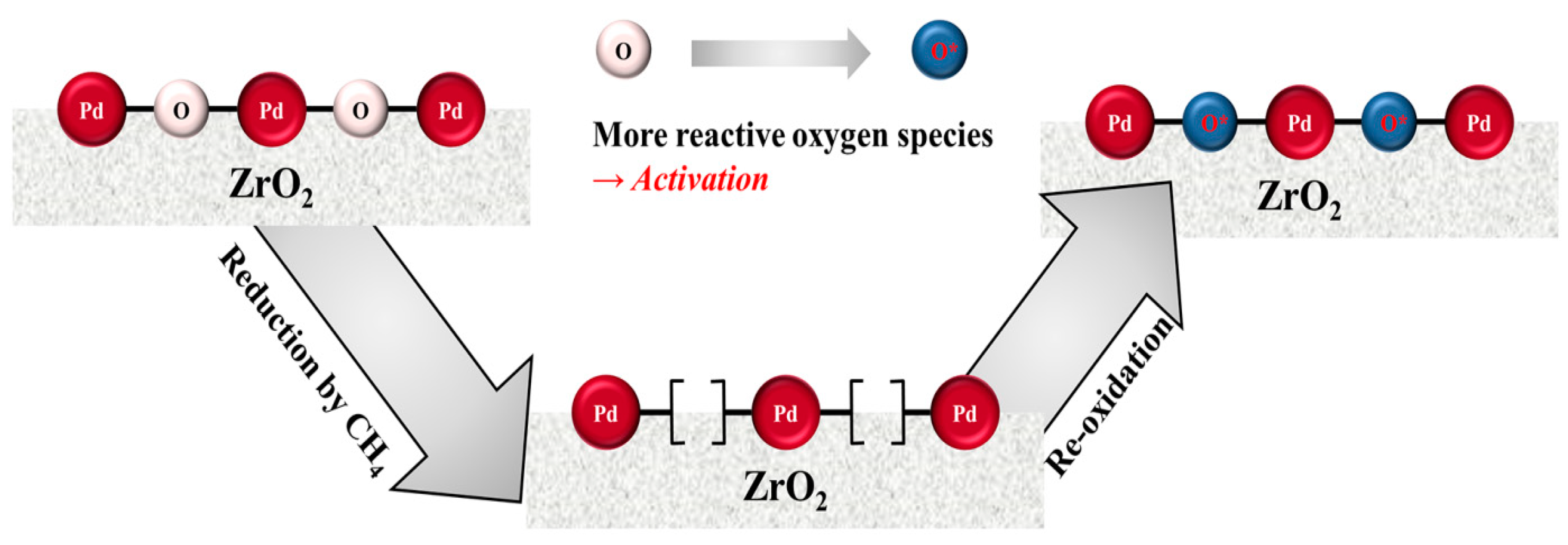 Catalysts 09 00838 g006