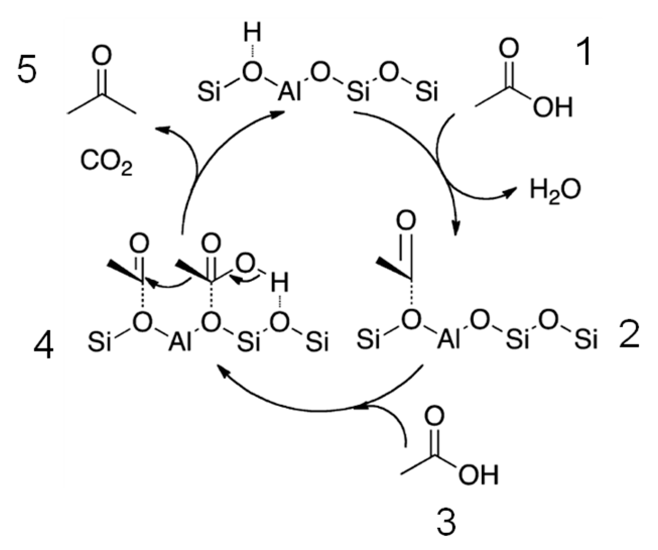 Catalysts 09 00841 g002 Catalysts 09 00841 g002
