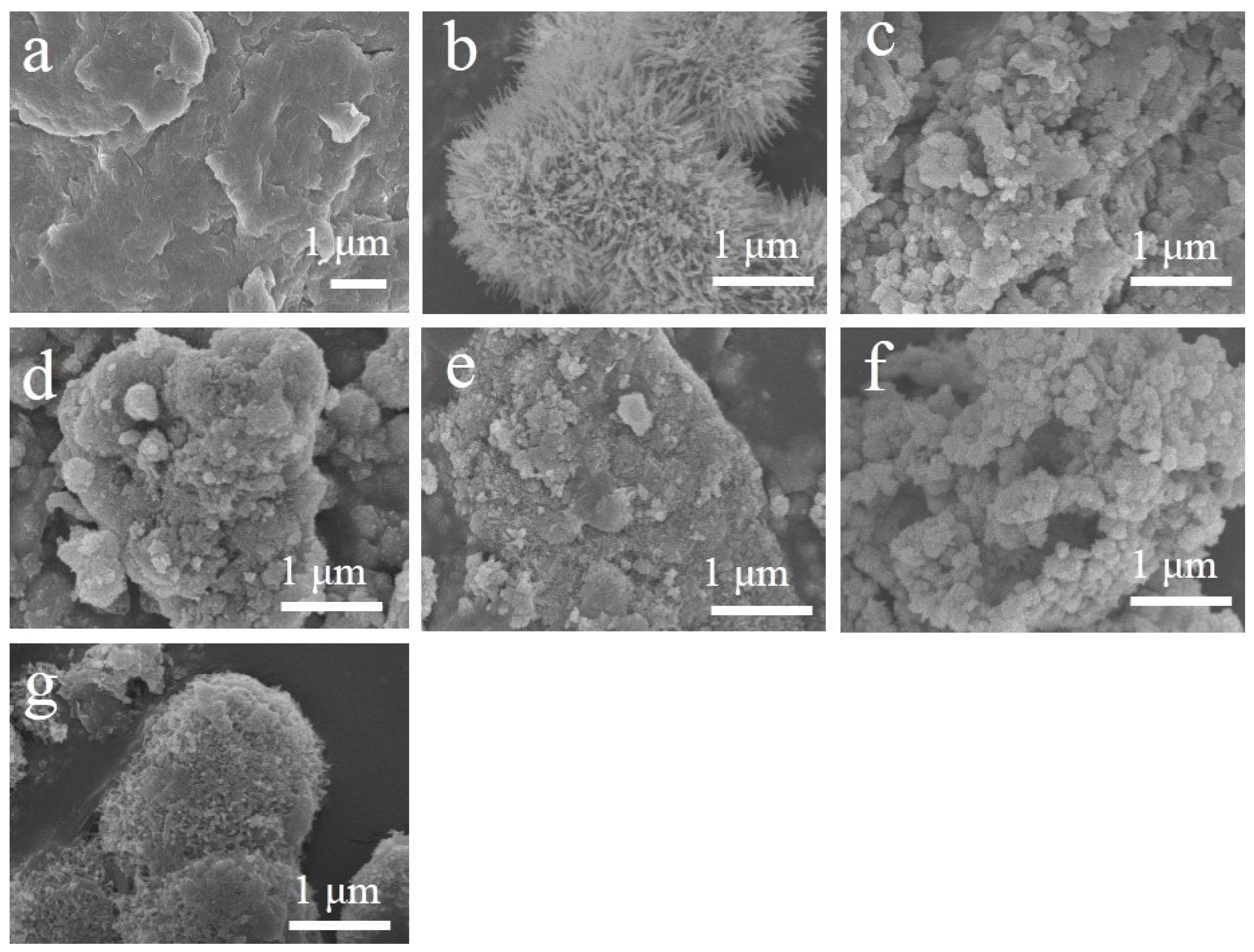 Catalysts 09 00848 g003