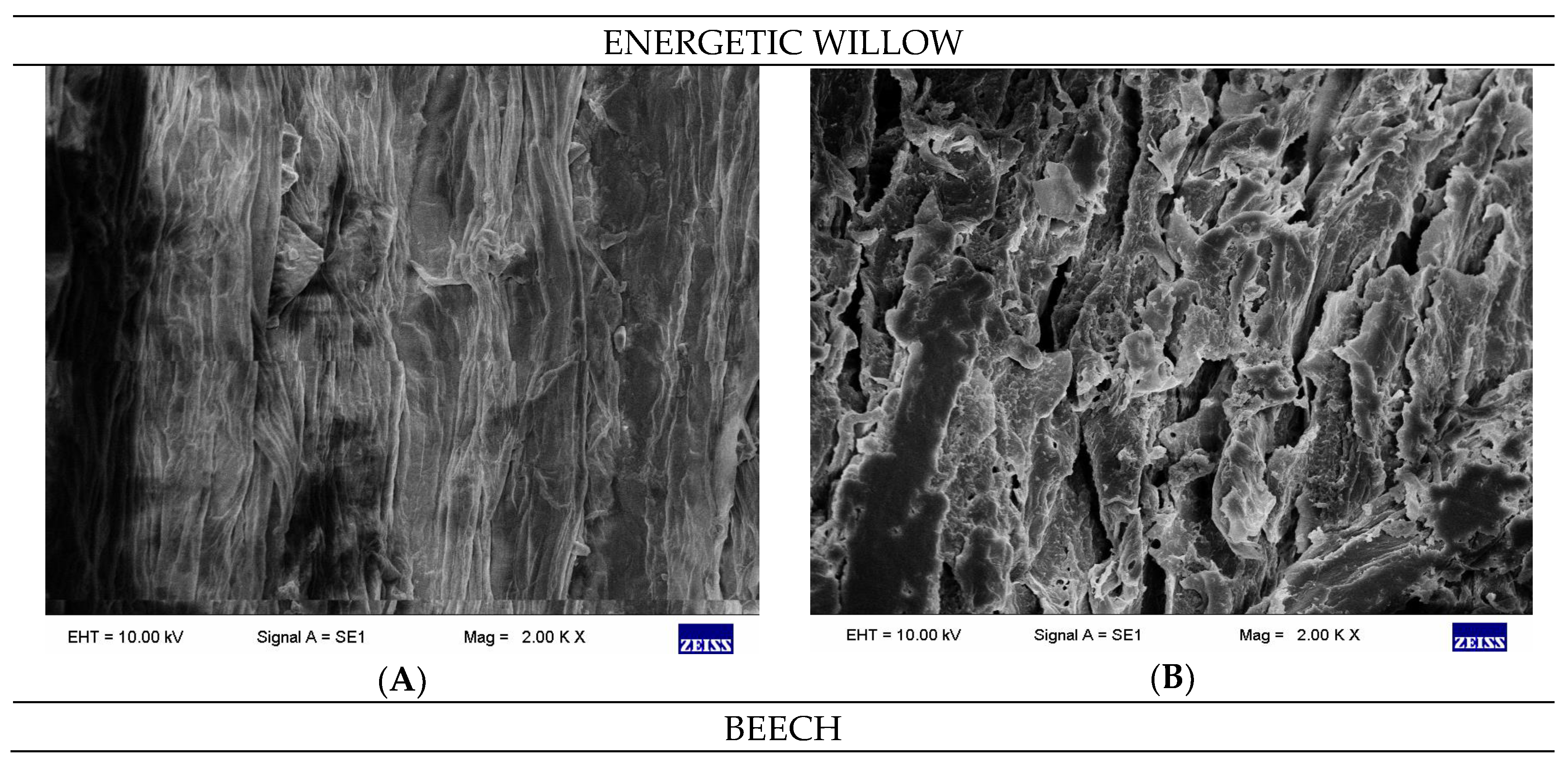 Catalysts 09 00858 g002a Catalysts 09 00858 g002a