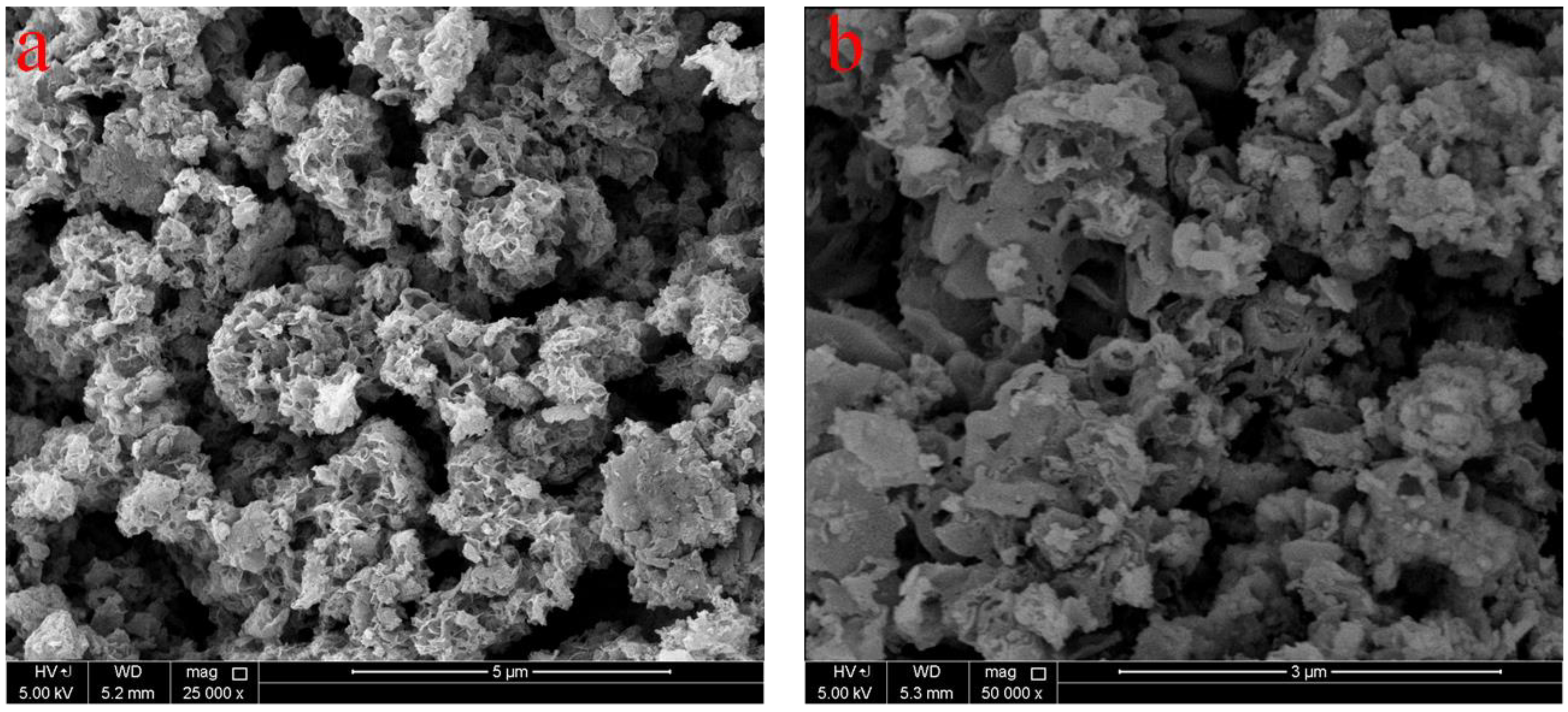 Catalysts 09 00860 g003