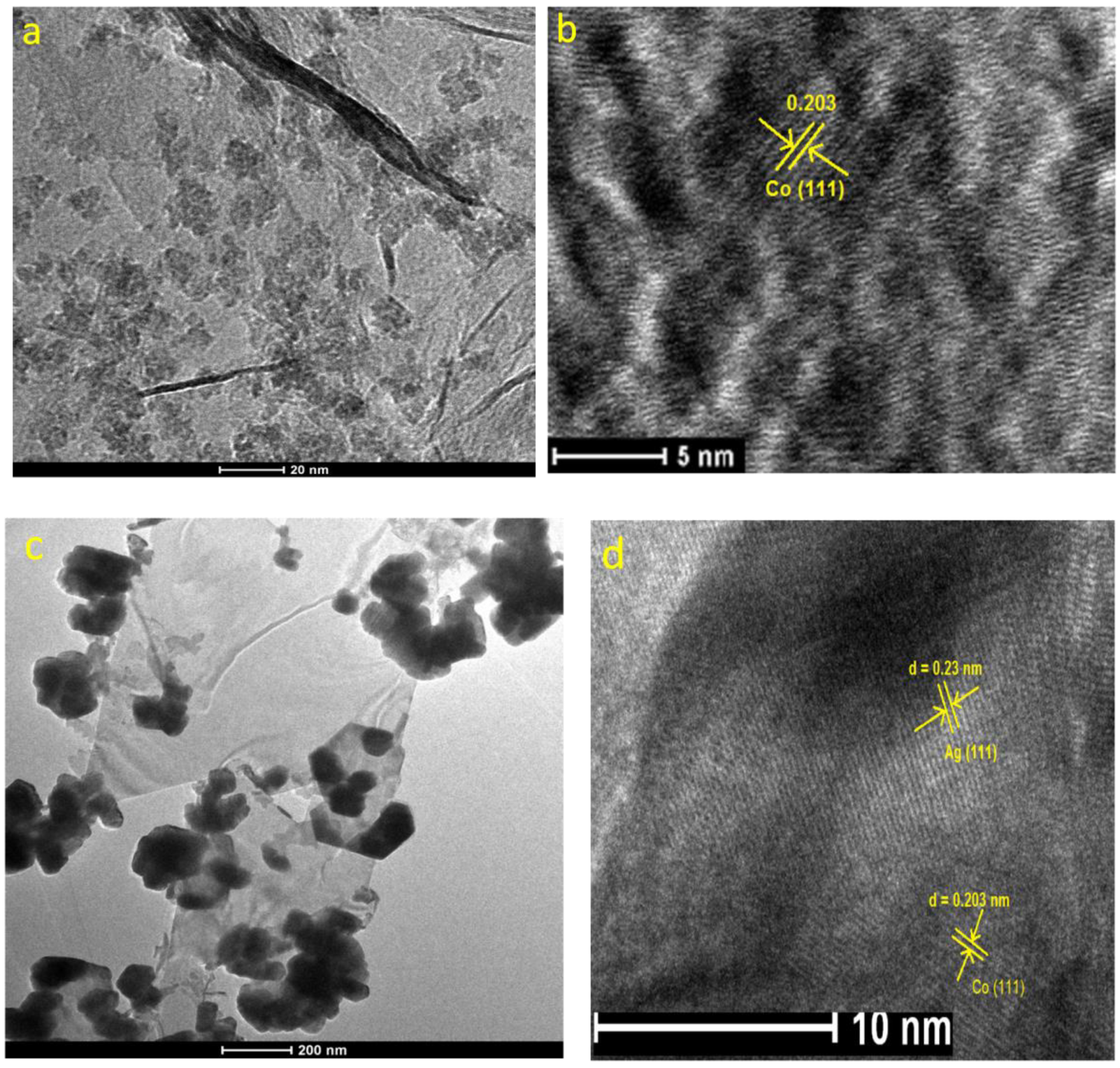 Catalysts 09 00860 g004